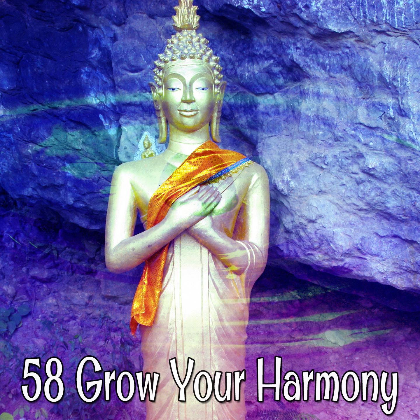 58 Grow Your Harmony