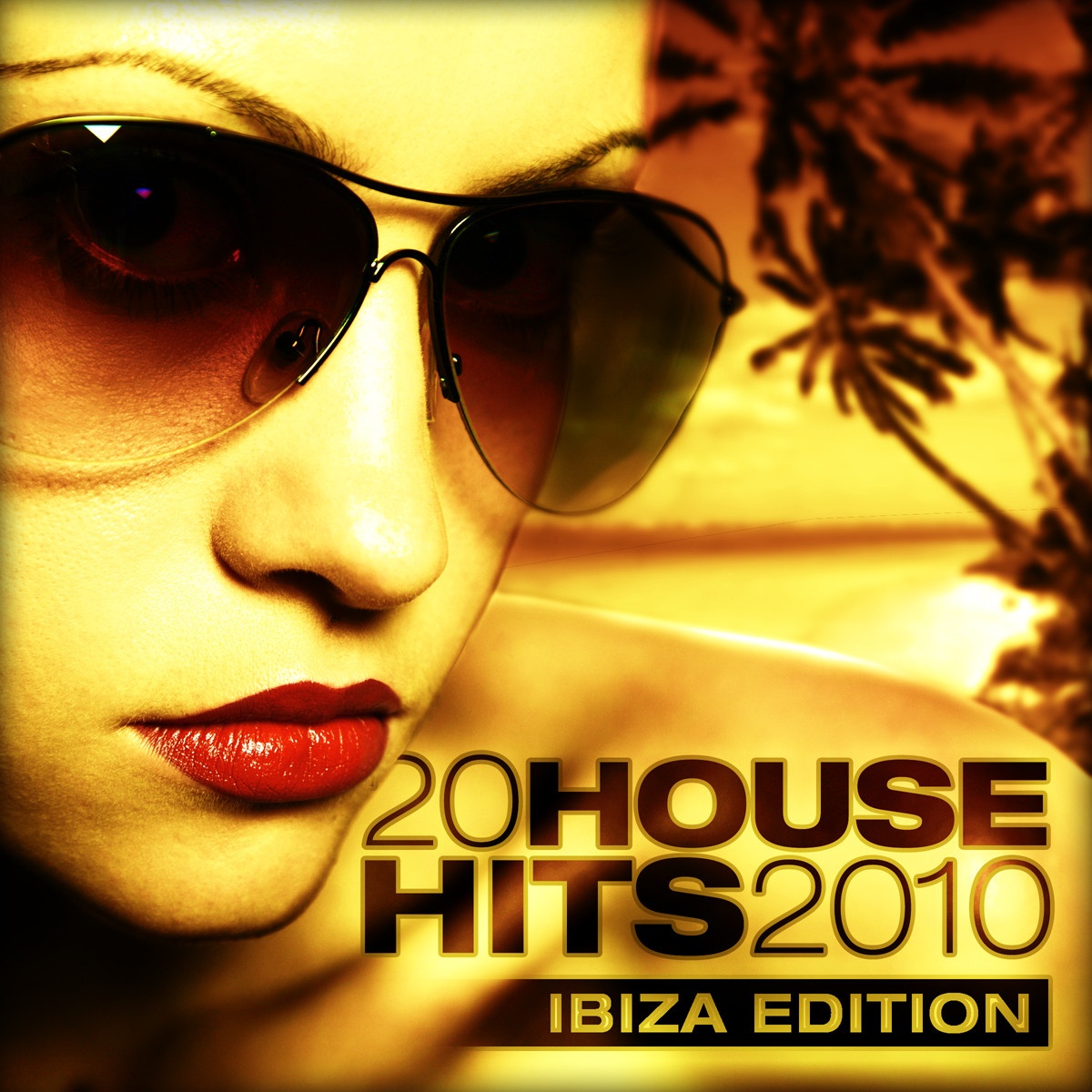 20 House Hits 2010
