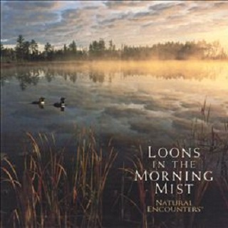 Loons in the Morning Mist by Natural Encounters