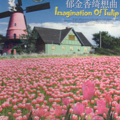 Flying Old Windmill qing ying de lao feng che