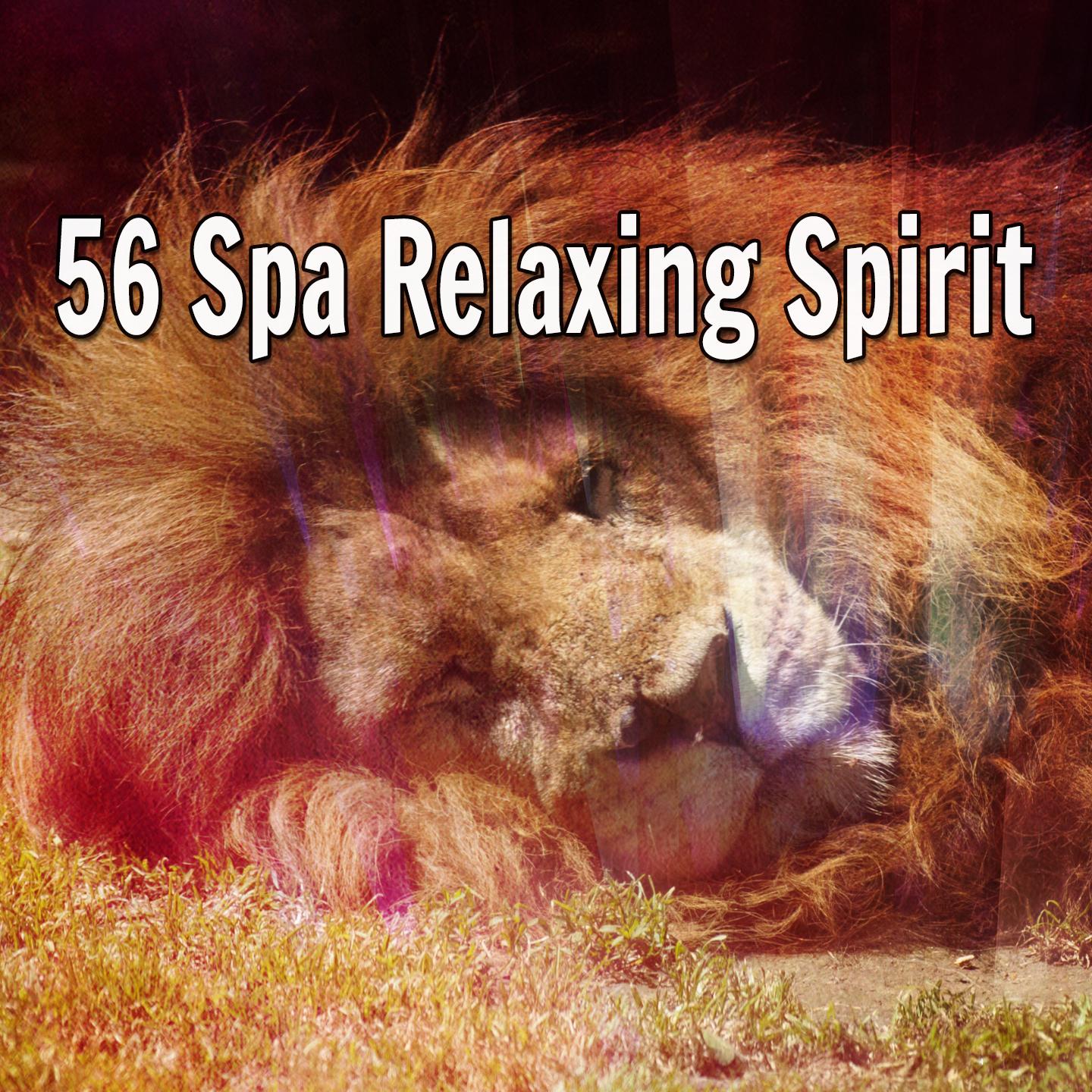 56 Spa Relaxing Spirit