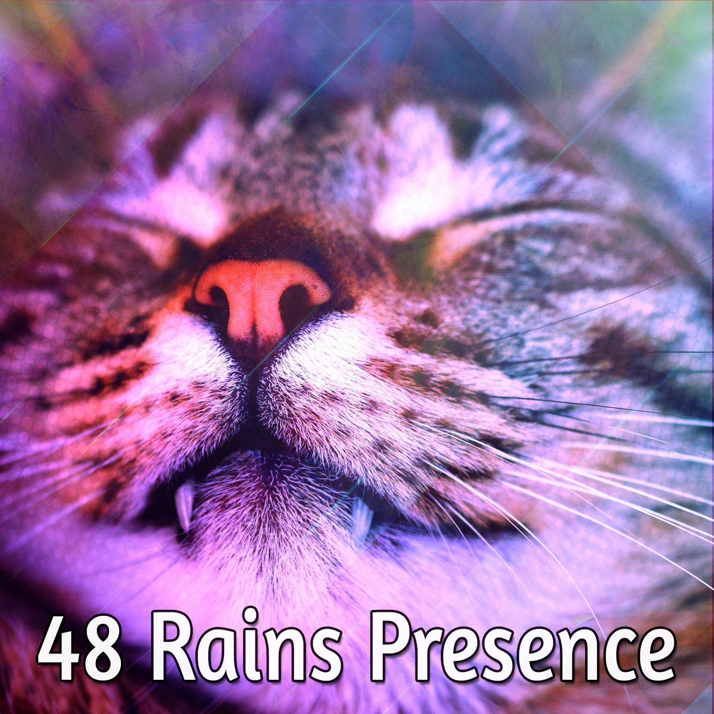 48 Rains Presence