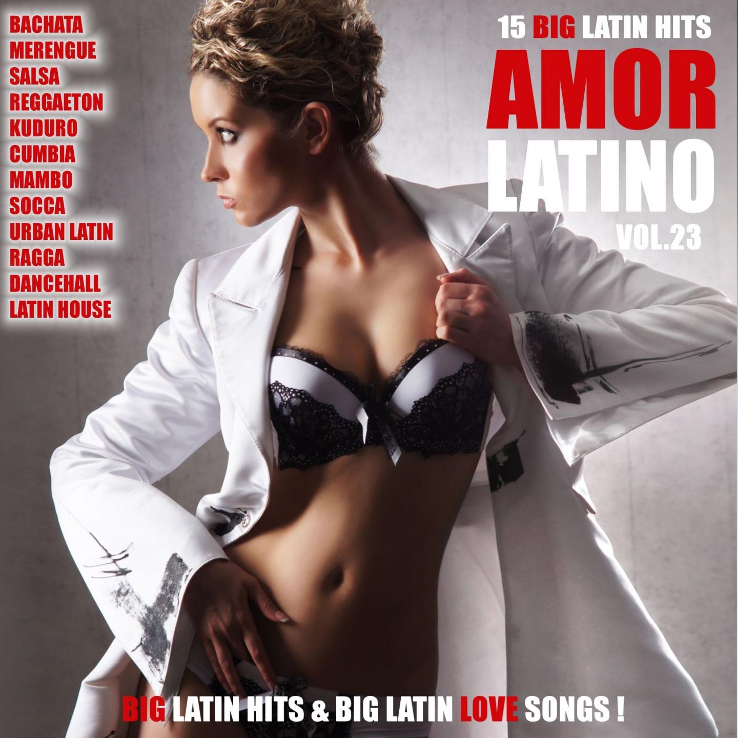 Amor Latino, Vol. 23 - 15 Big Latin Hits & Latin Love Songs