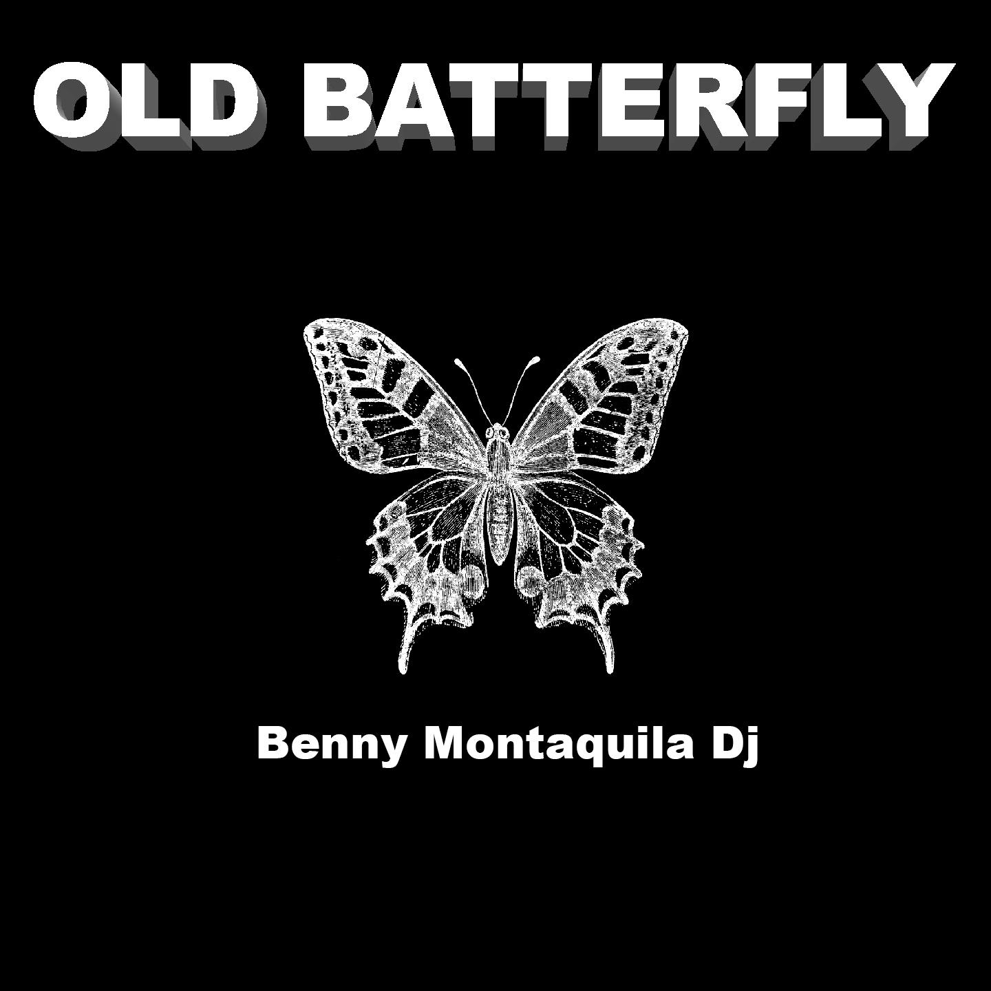 Old Butterfly