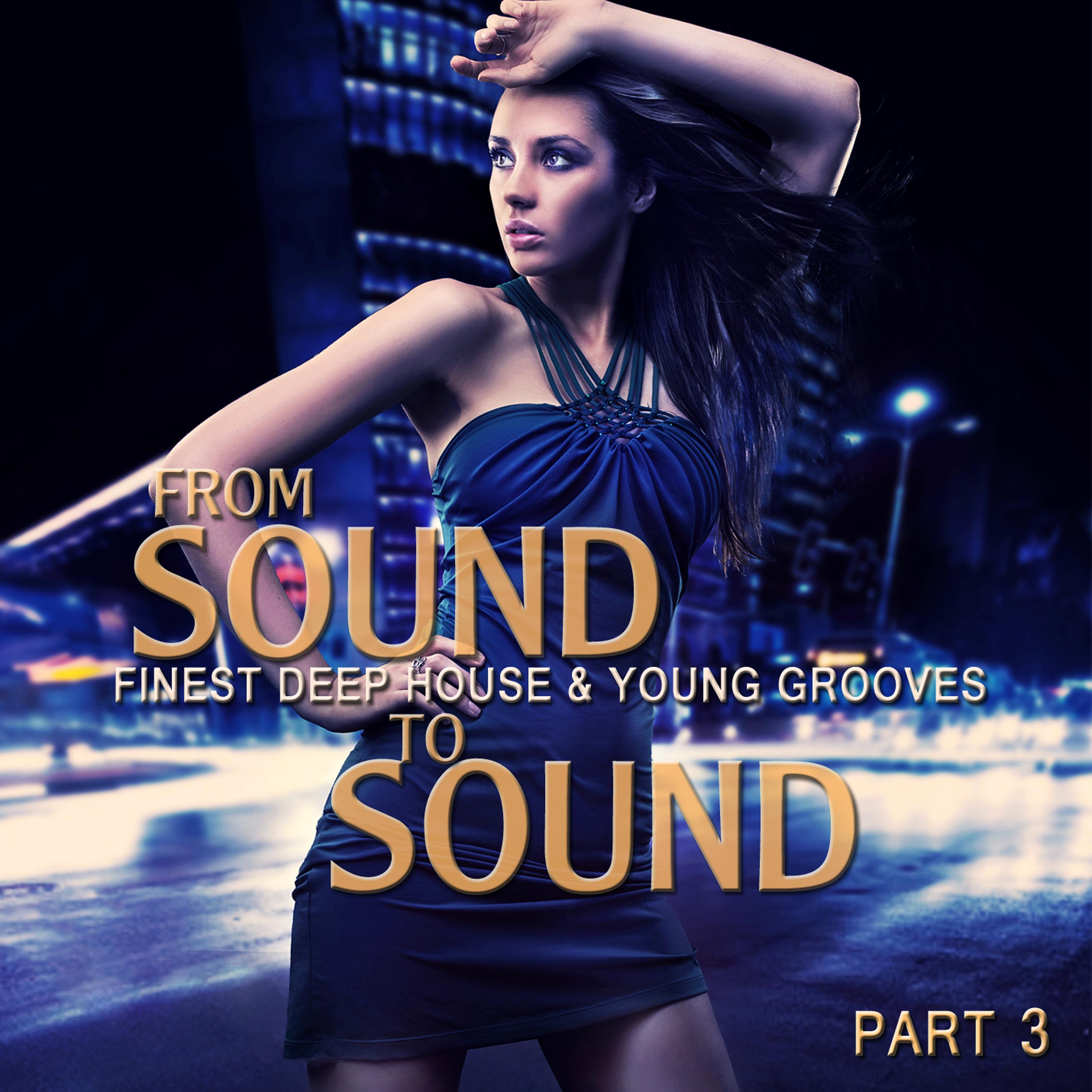 From Sound to Sound, Pt. 3 (Finest Deep House & Young Grooves)