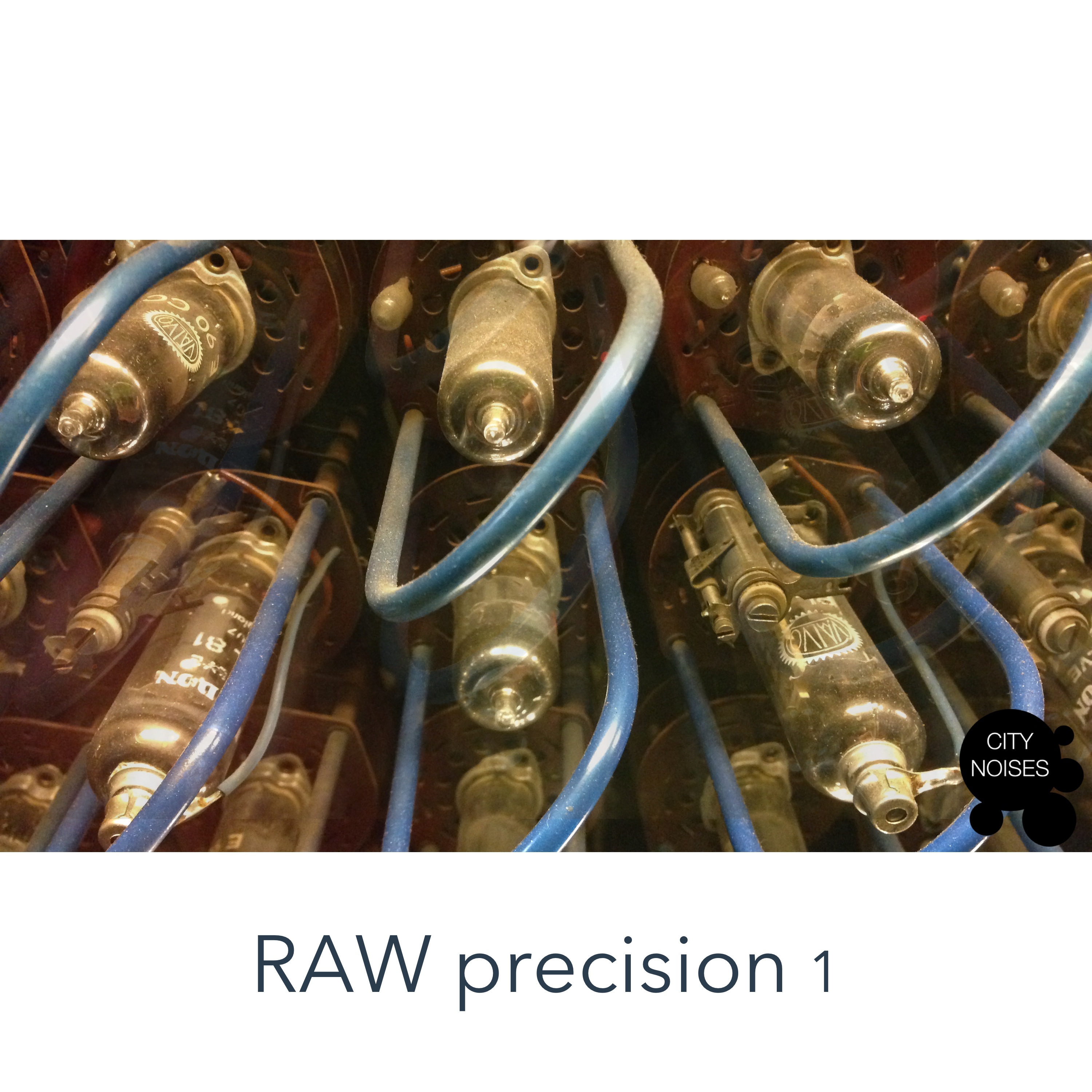 Raw Precision, Vol. 1