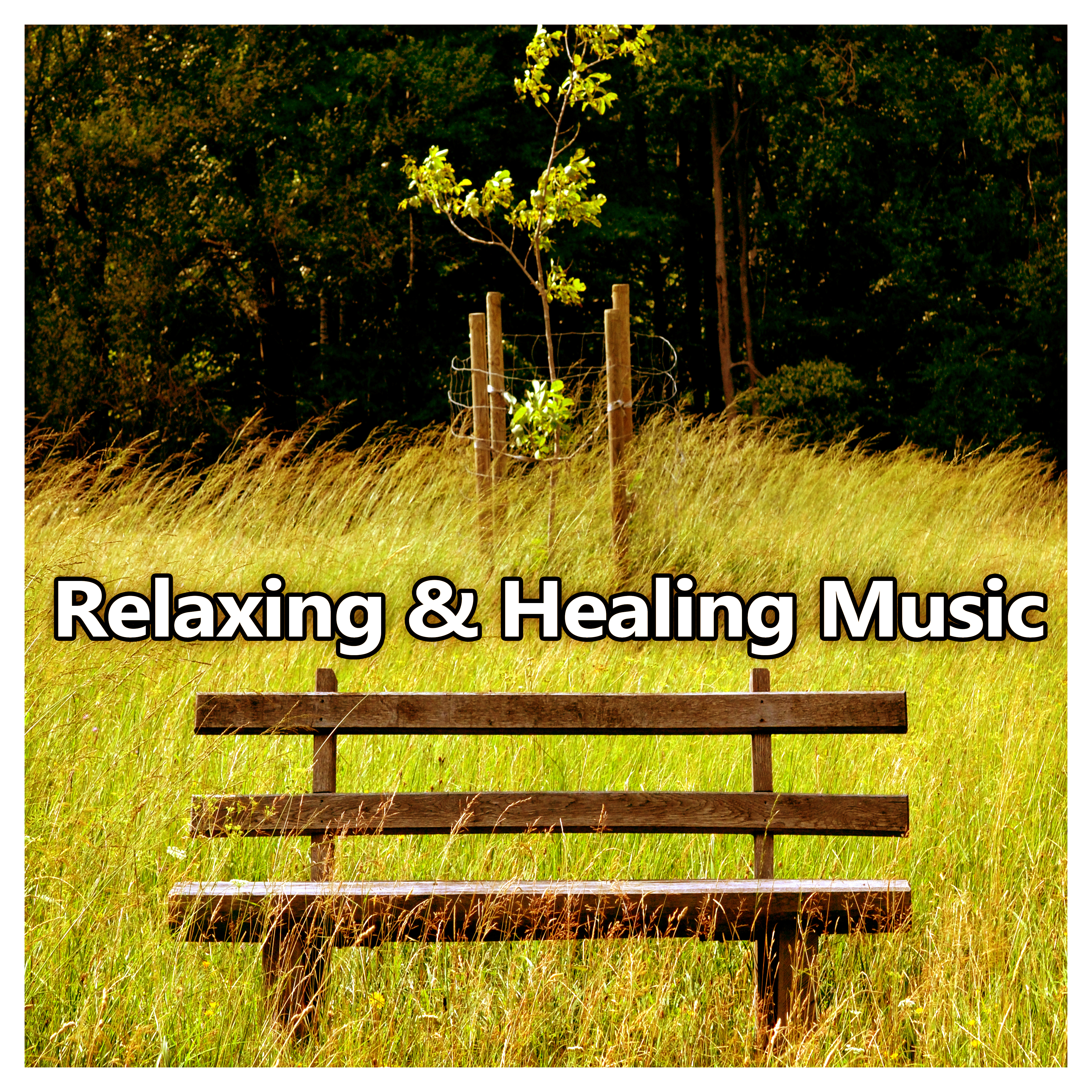 Relaxing  Healing Music  Soft Nature Sounds for Relax, Chill Yourself, Calming Music, Rest a Bit