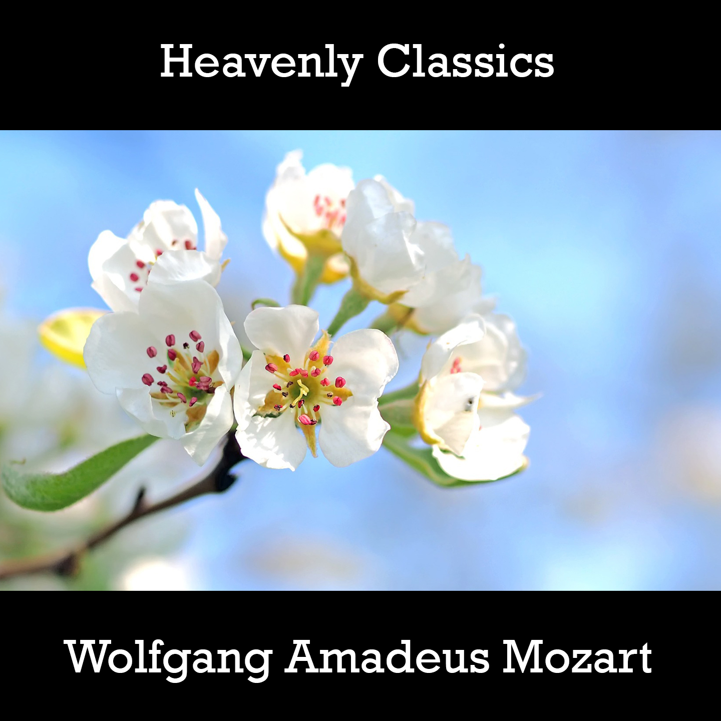Heavenly Classics Wolfgang Amadeus Mozart