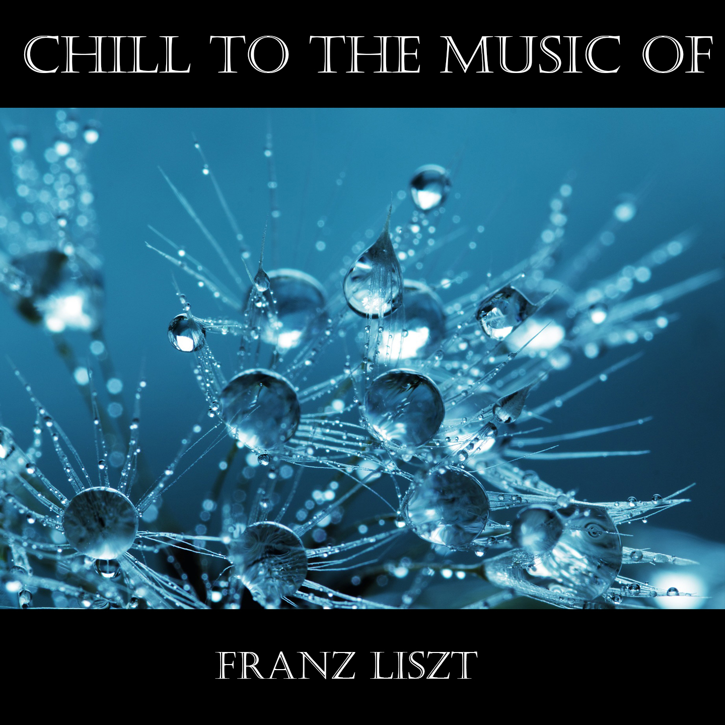 Chill To The Music Of Franz Liszt