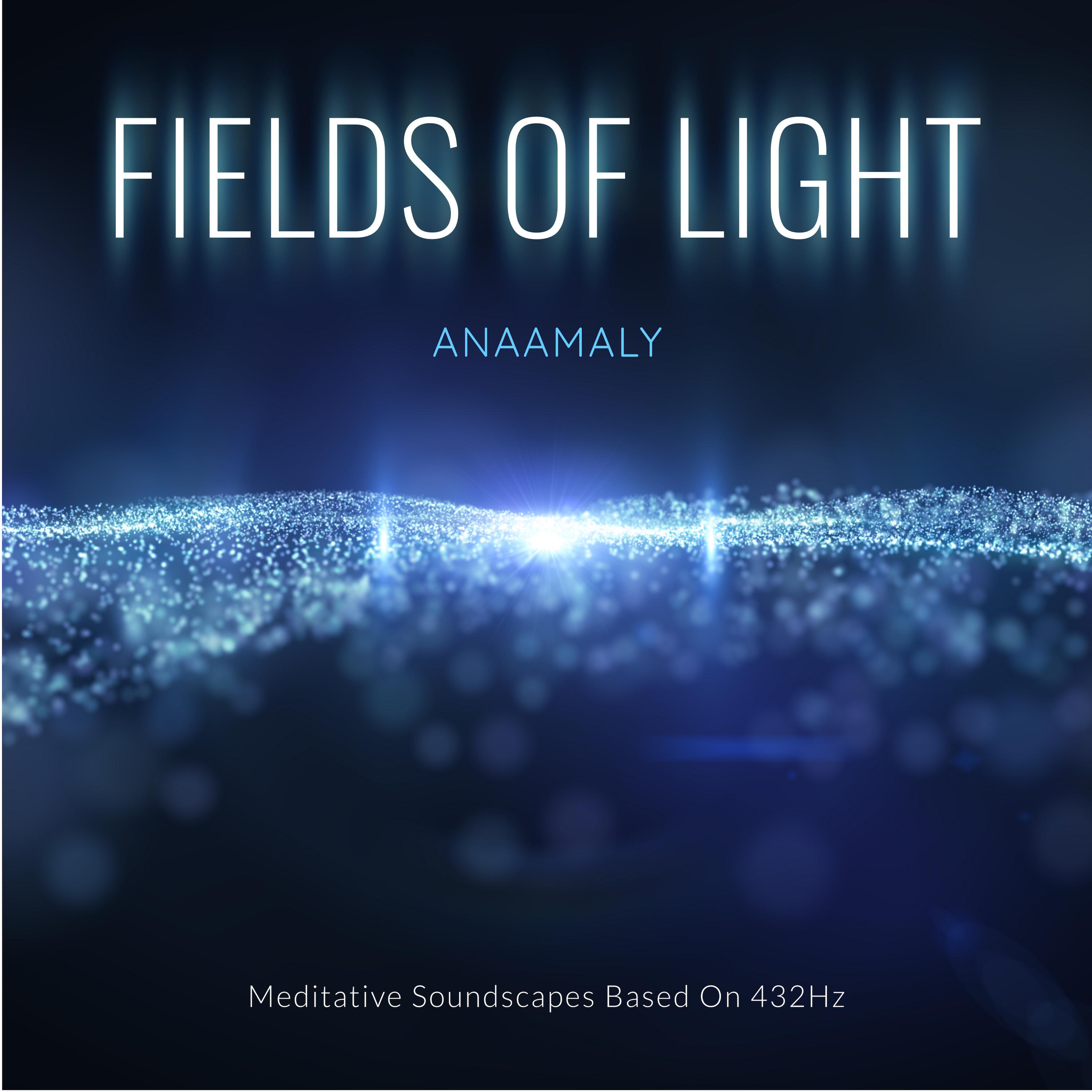 Fields of Light