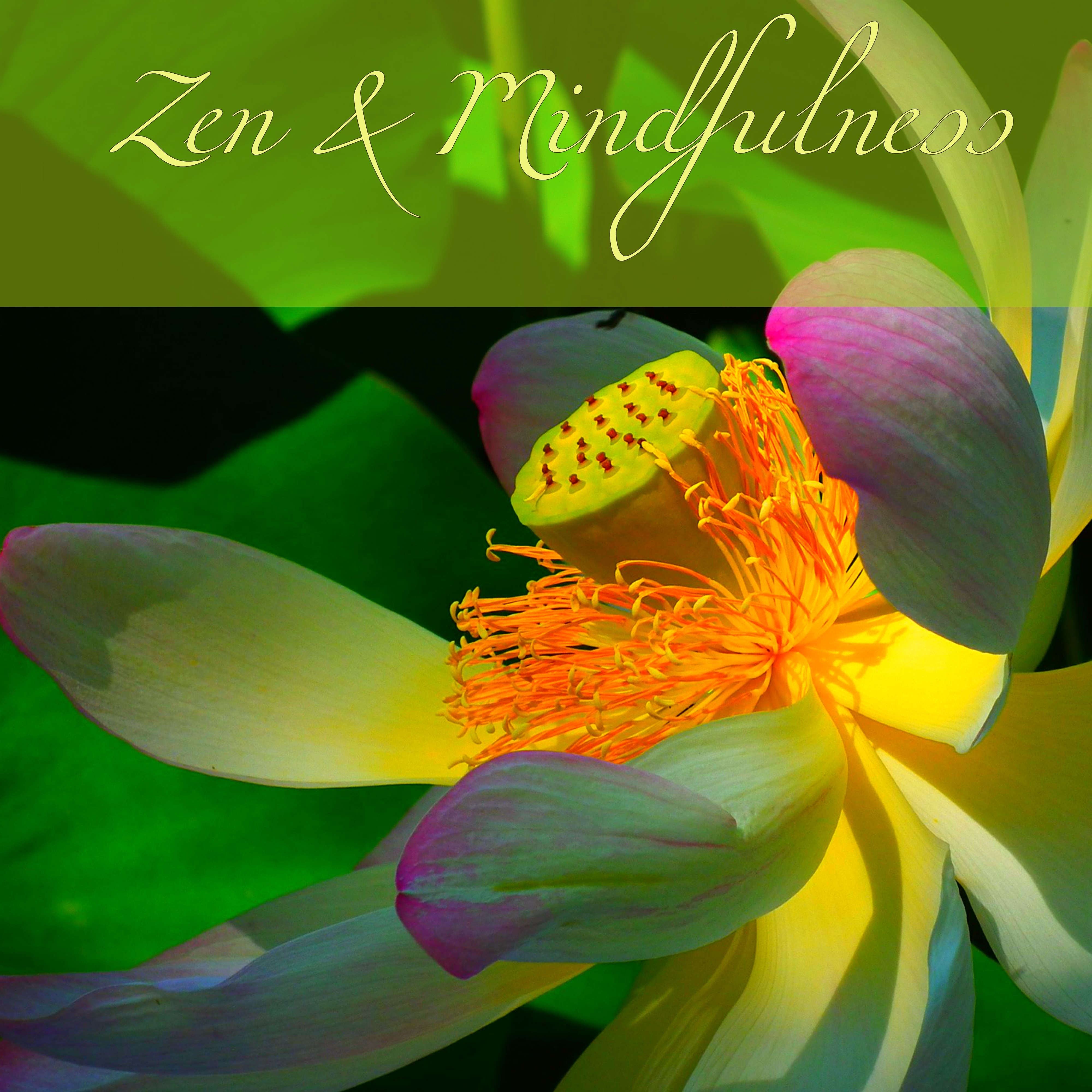 Zen  Mindfulness  Amazing Calming Music Meditation Songs
