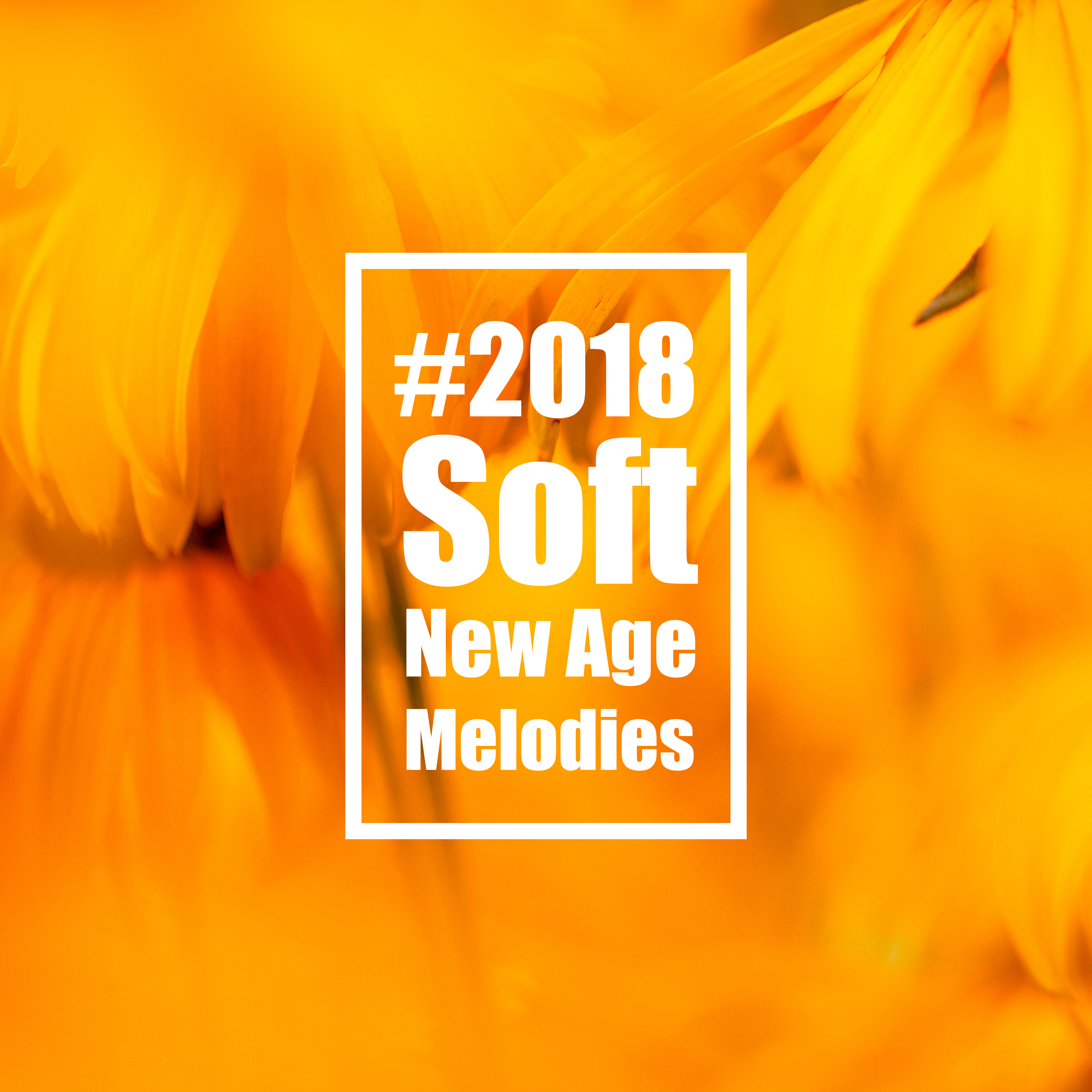 #2018 Soft New Age Melodies