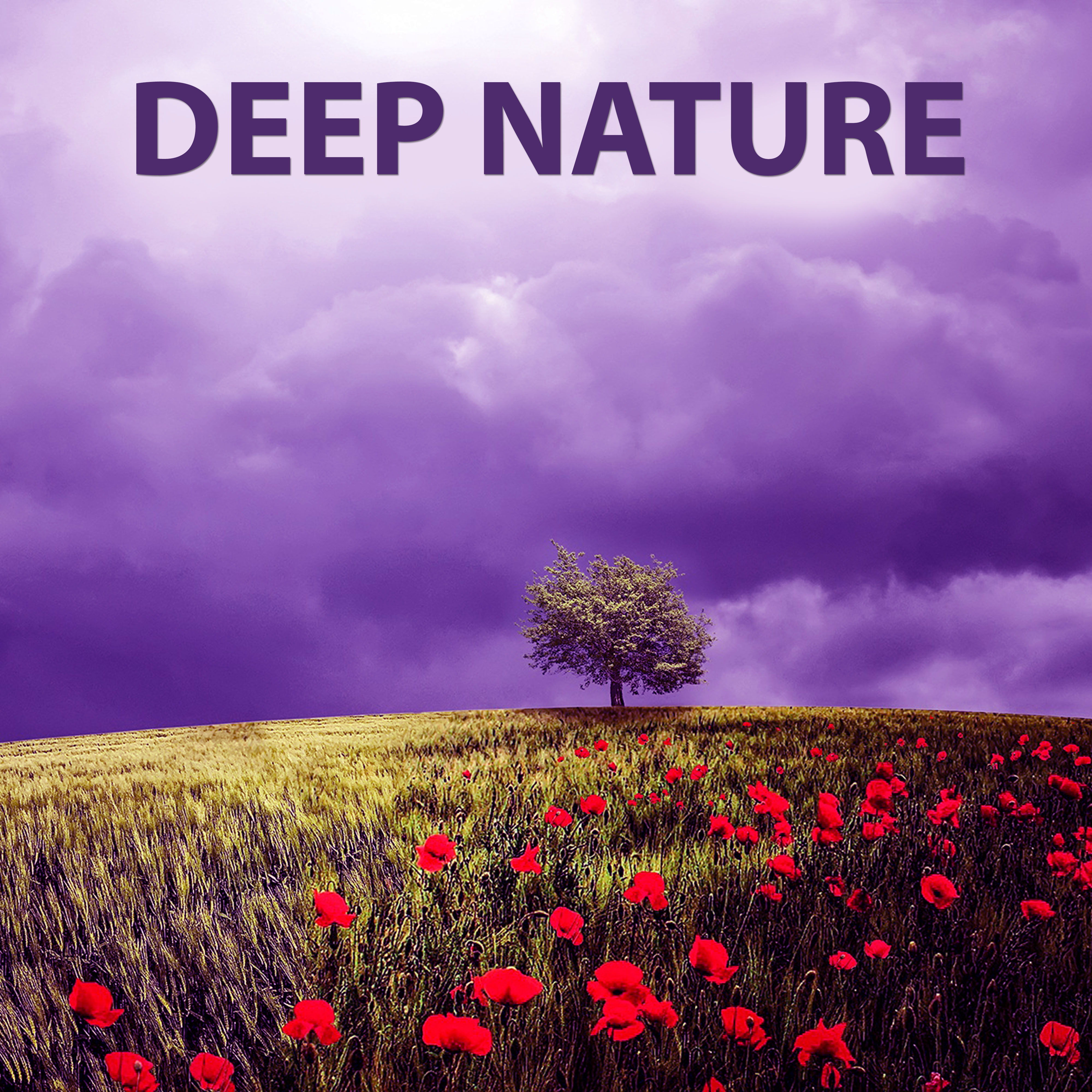 Deep Nature  Background Relaxing Pure Nature