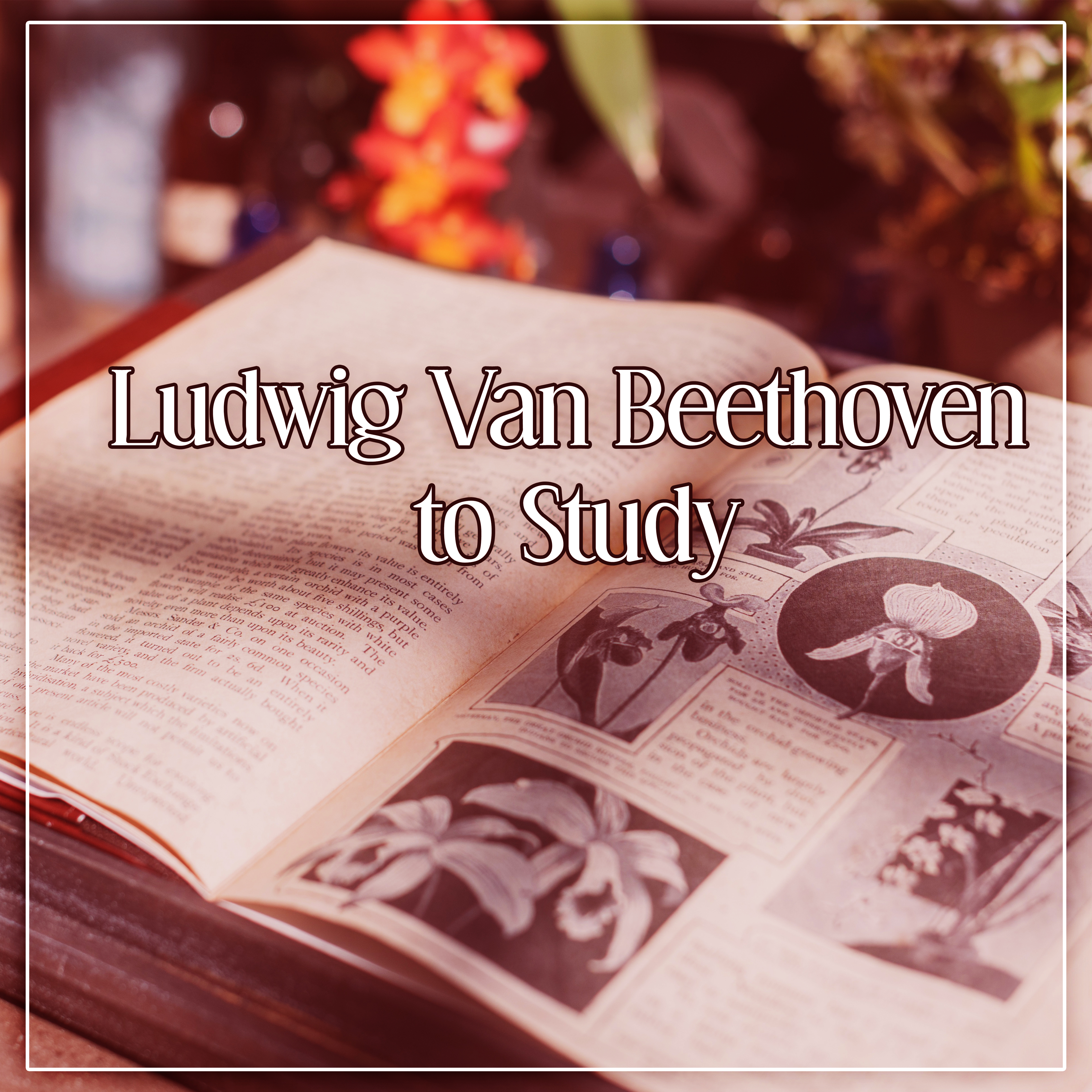 Ludwig Van Beethoven to Study  Train Your Brain, Classical Music to Study, Beethoven Songs, Clear Mind