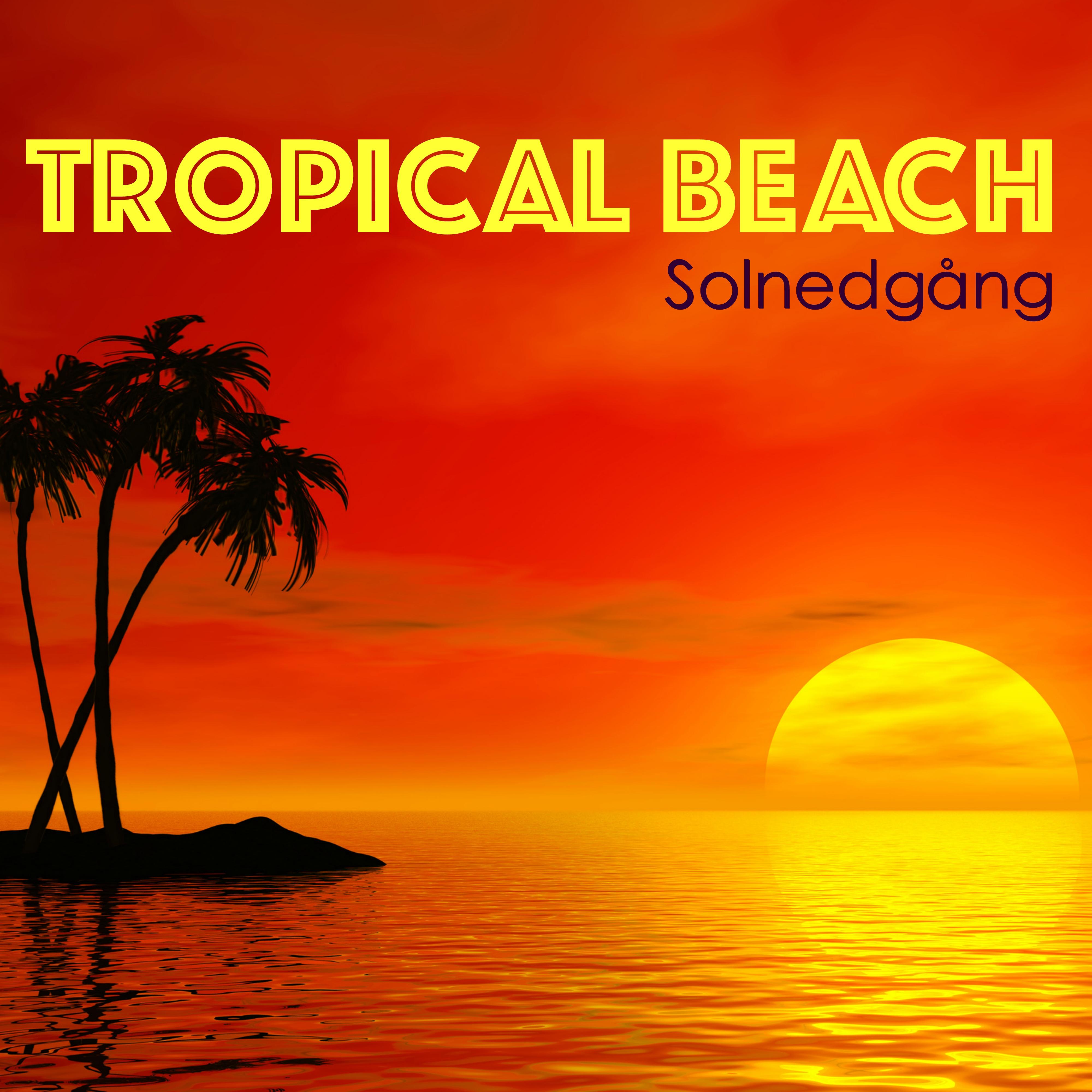 Tropical Beach House  Ibiza Strand Part 2017, Lounge  Chill Out f r Solnedg ng, Hus  Dance f r Part Natt