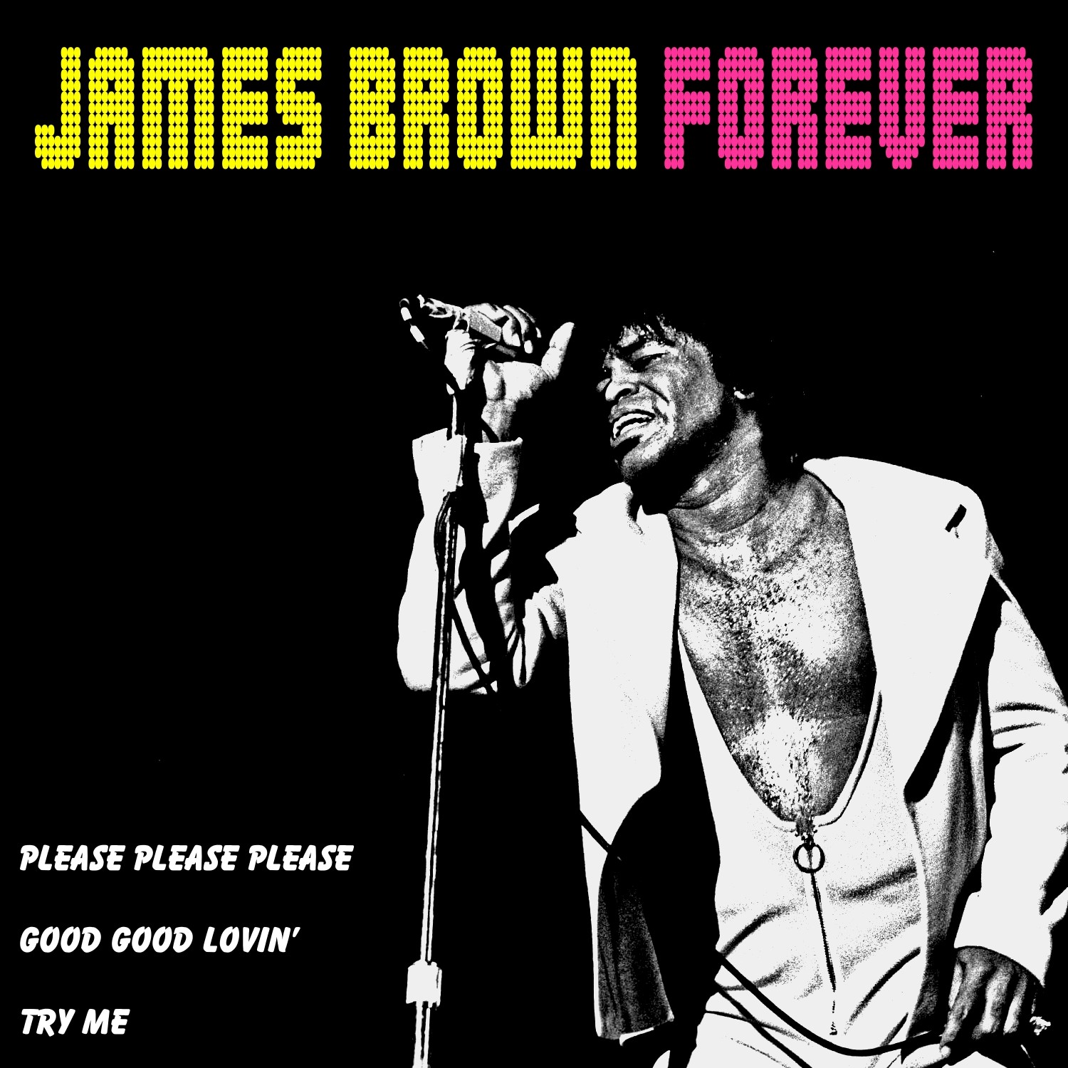 James Brown Forever