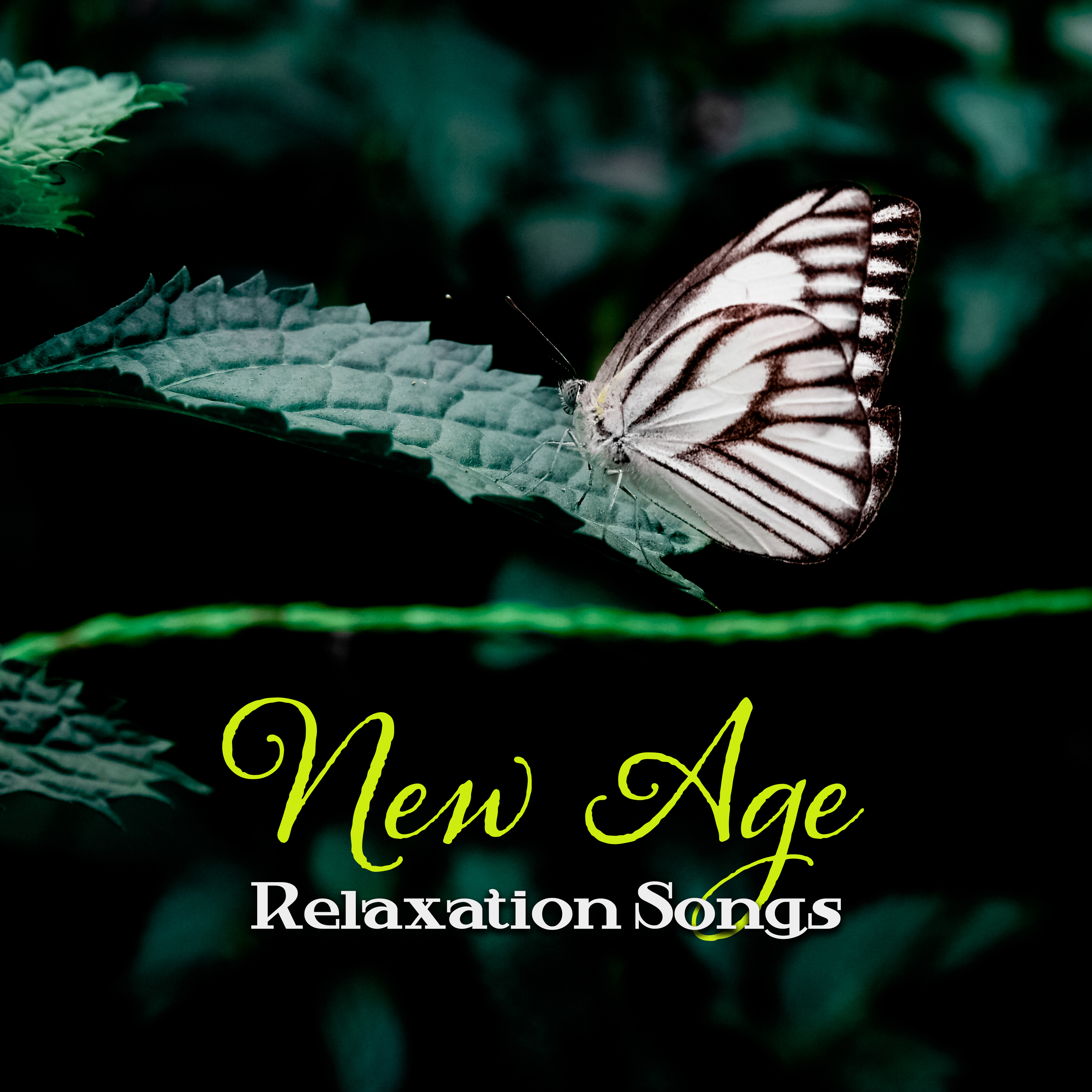 New Age Relaxation Songs  Relaxing New Age Songs, Peaceful Music to Rest, Time for You, Chilled Melodies for Your Mind  Body