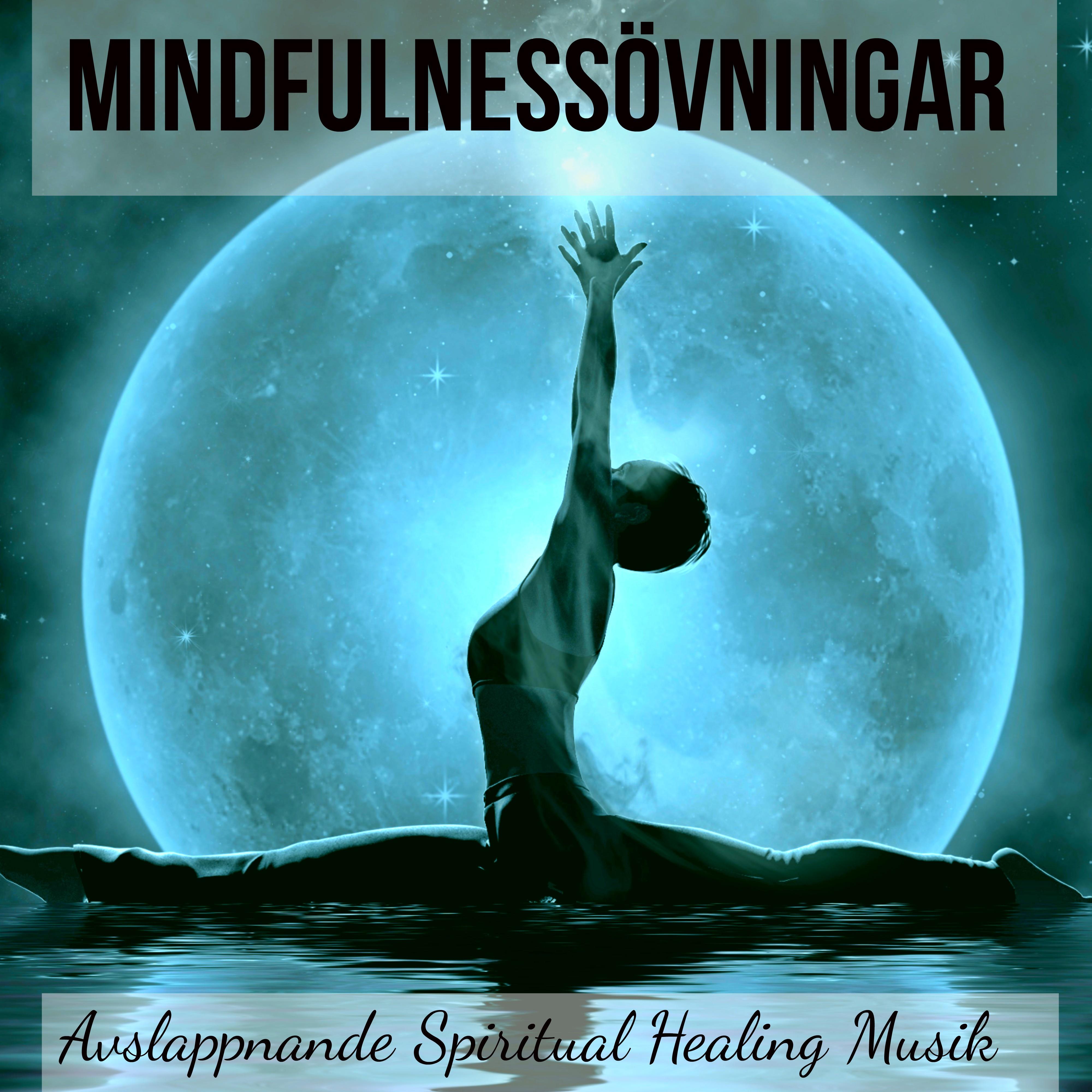 Mindfulness vningar  Avslappnande Spiritual Healing Musik f r Godnatt och Biofeedback Terapi, Natur Instrumental New Age Ljud