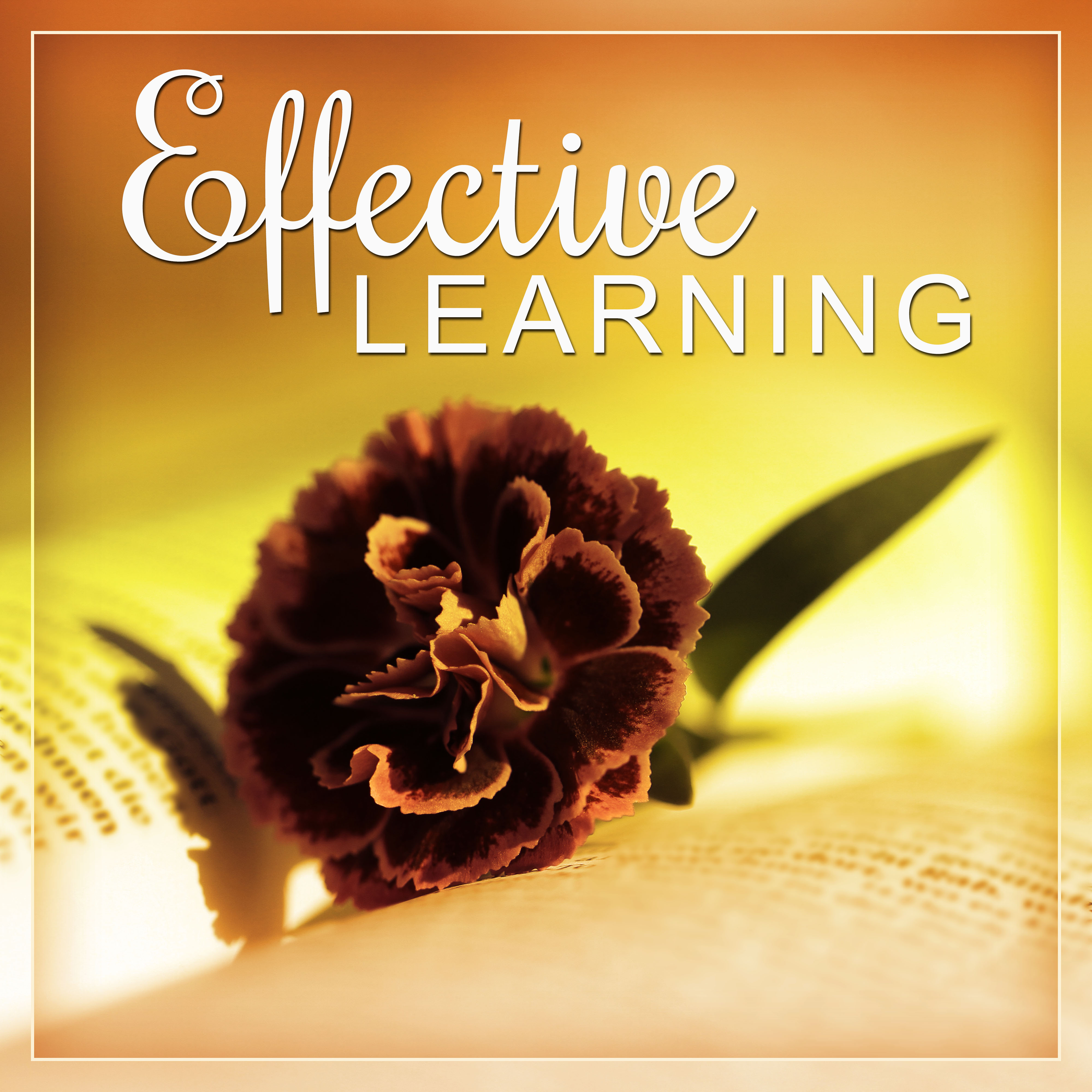 Learning Time  Classical Sounds for Study, Music Helps Pass the Exam, Focused Mind, Famous, Classical Composers to Study