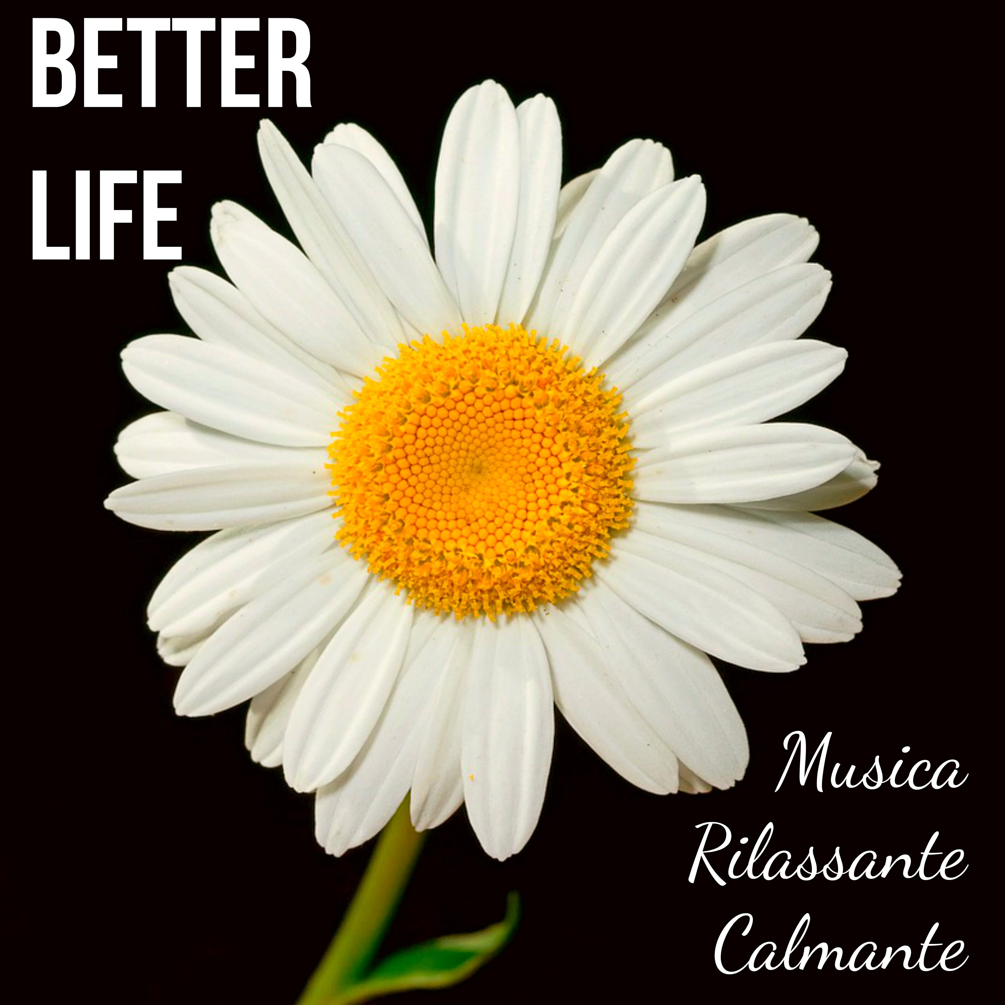 Better Life - Musica Rilassante Calmante per Rinascita Sonno Profondo Centro Benessere con Suoni Meditativi Spirituali New Age