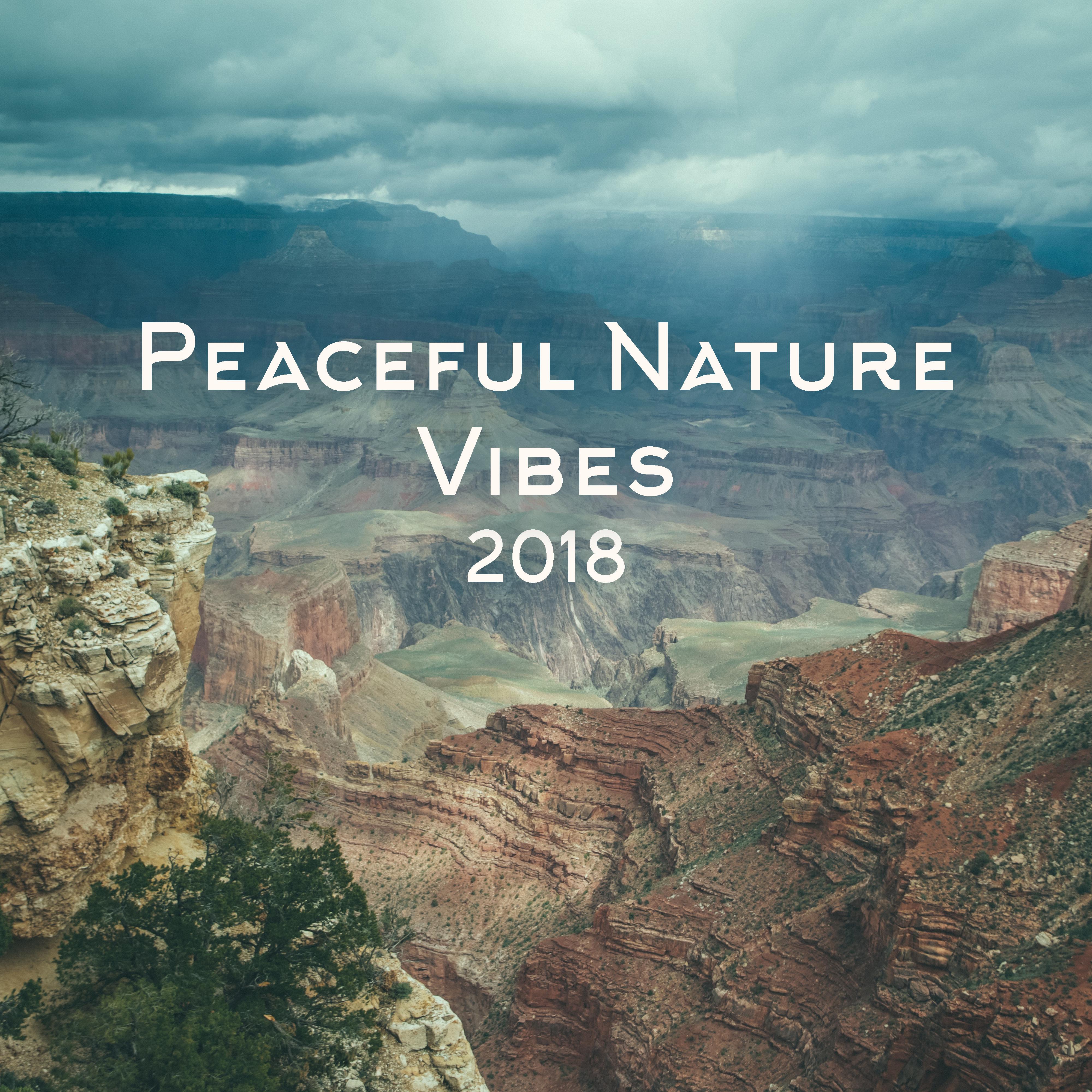 Peaceful Nature Vibes 2018