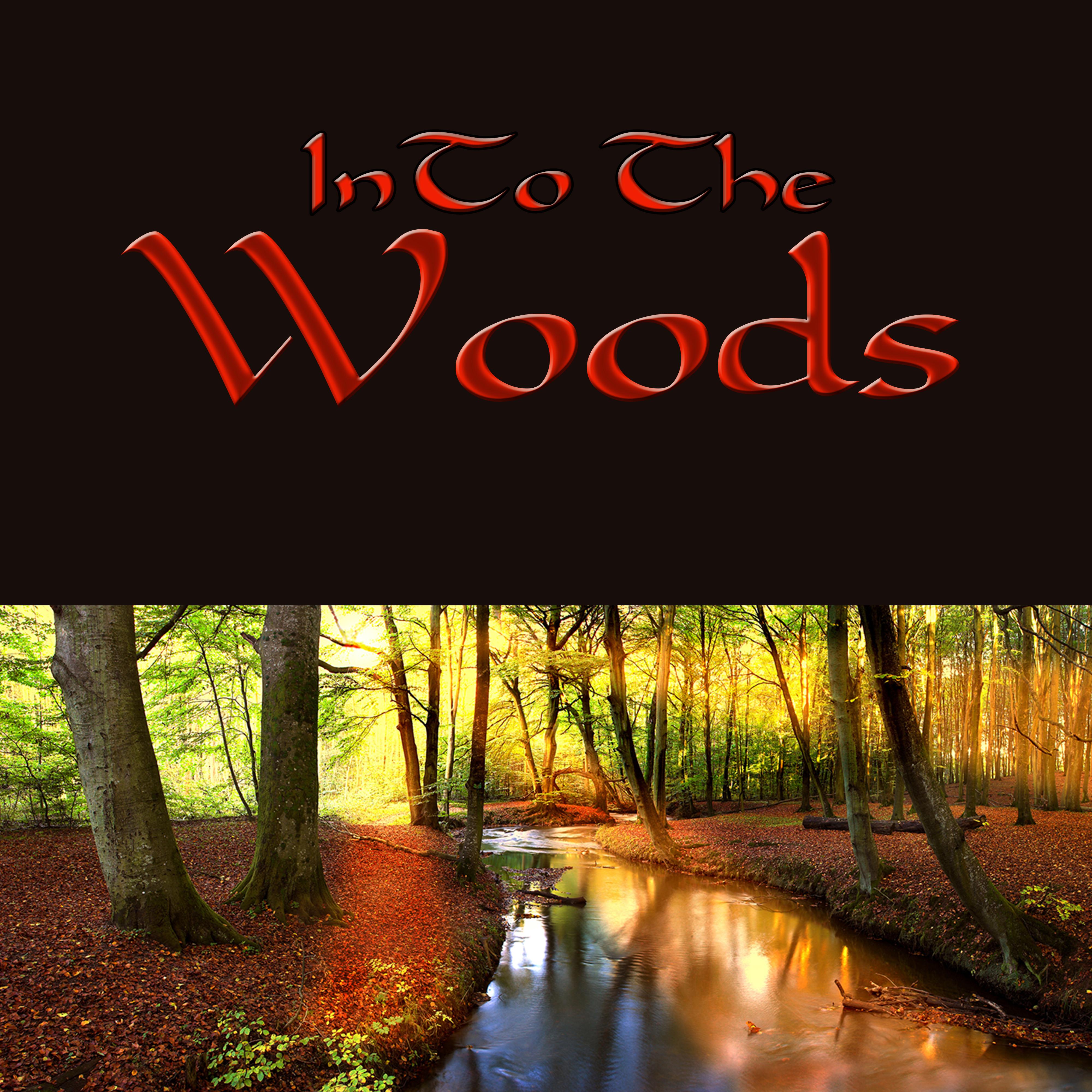 Into the Woods  Nature Sounds Magic Music for Relaxation Meditation Forest, Wood, Rain, River, Cricket and Birds Sounds