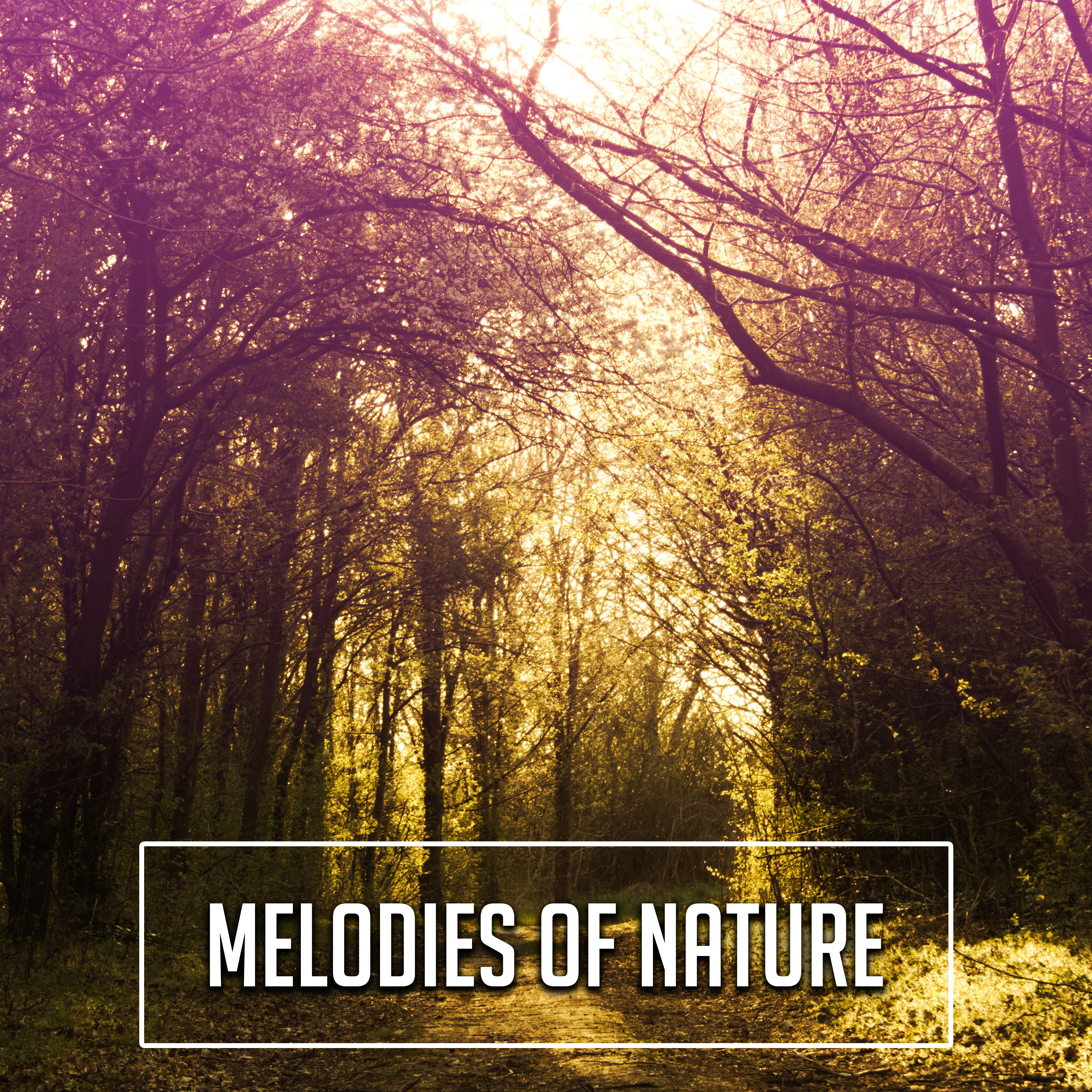 Melodies of Nature  Soft Music, Relaxing Therapy, Stress Free, Deep Meditation, Rest, Nature Sounds, Tranquility