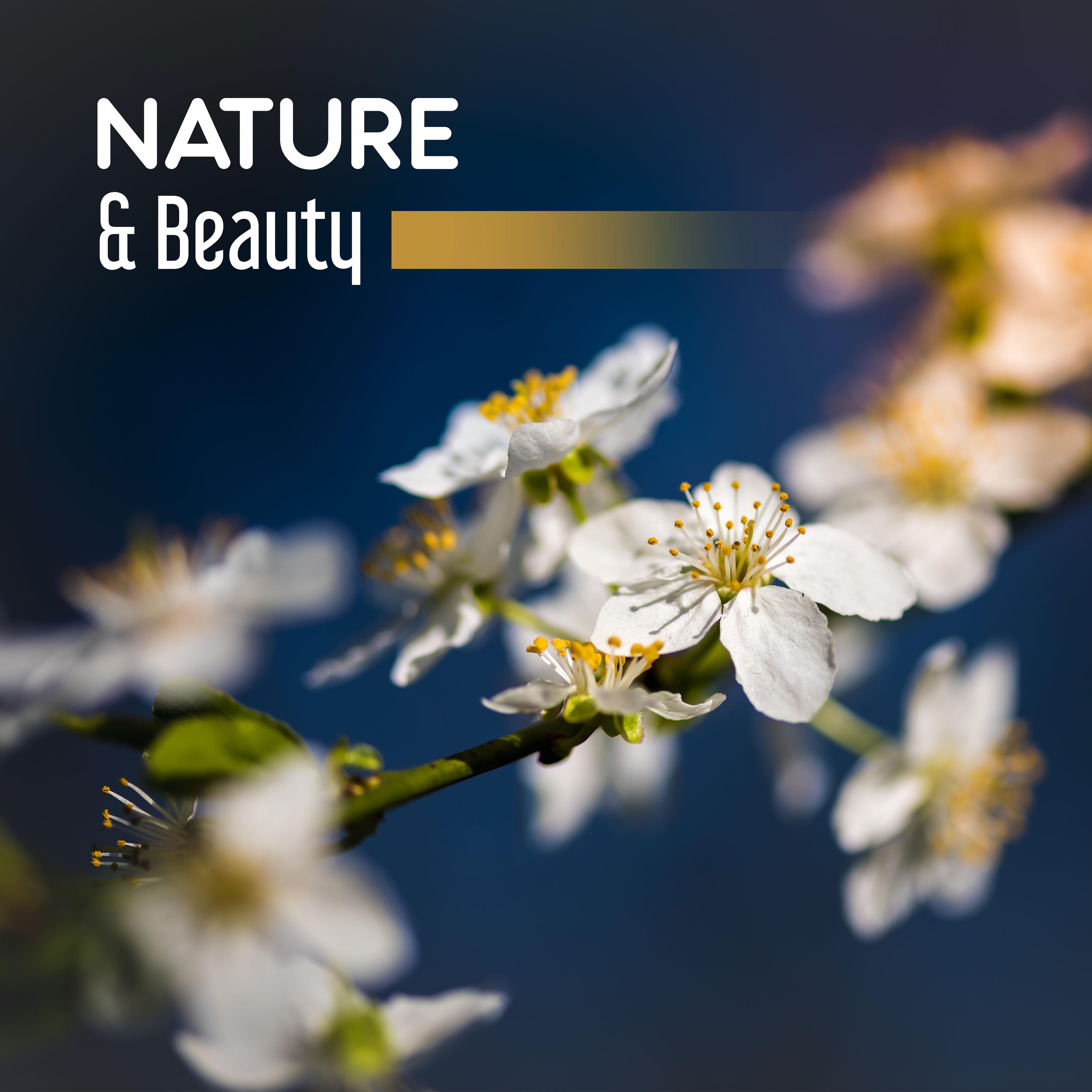 Nature  Beauty  Gentle Nature Sounds for Relaxation, Calm Down, Contemplation of Nature, Pure Mind, Singing Birds, Soothing Rain