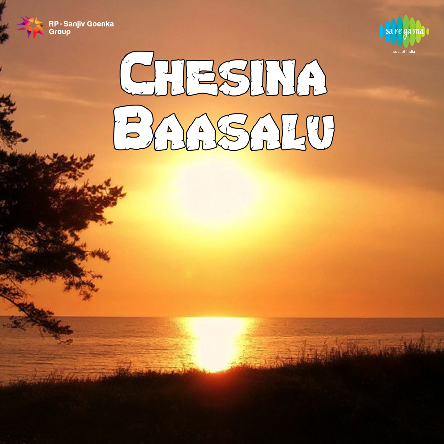 Chesina Baashalu