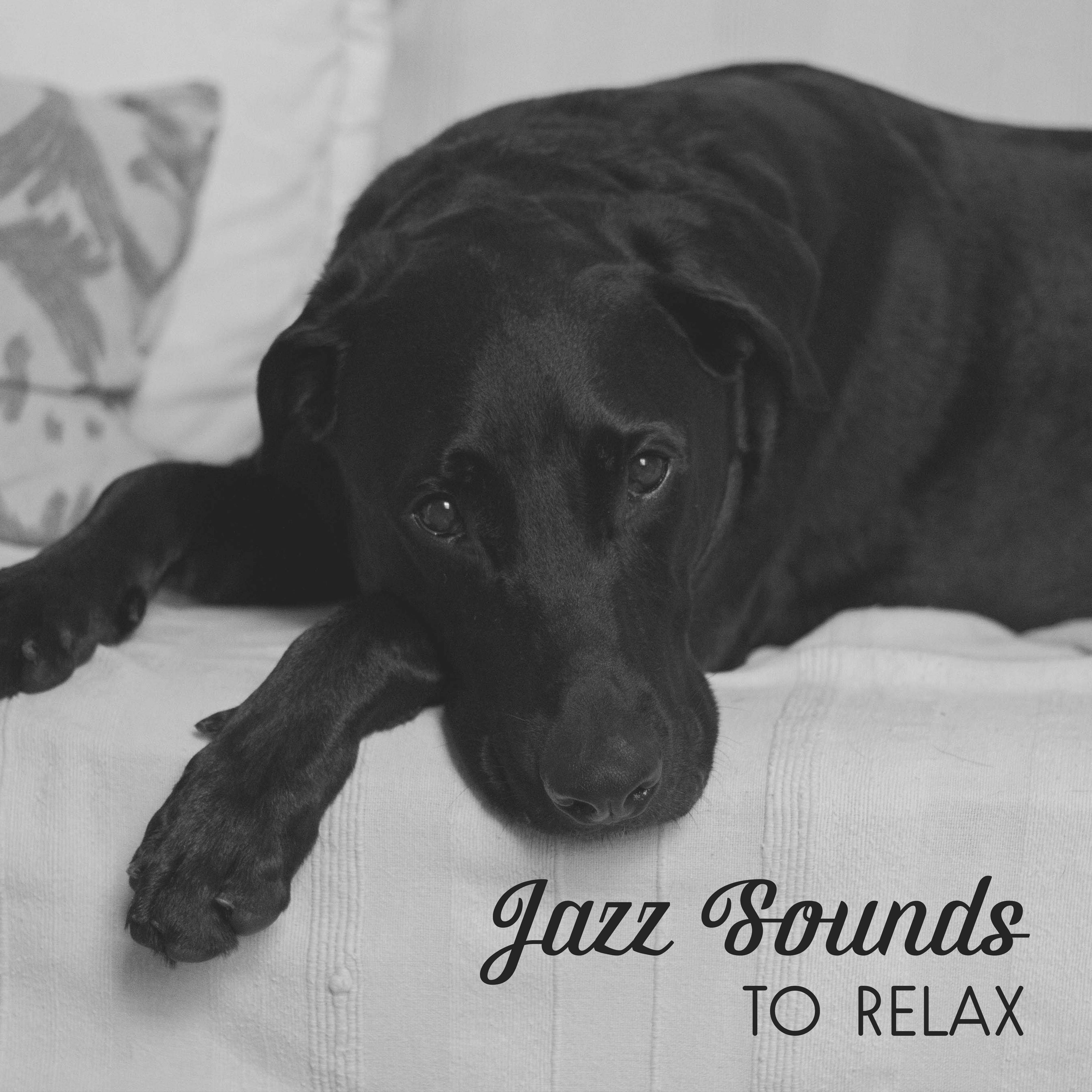 Jazz Sounds to Relax  Smooth Jazz Note, Music to Help You Relax, Night Jazz Club