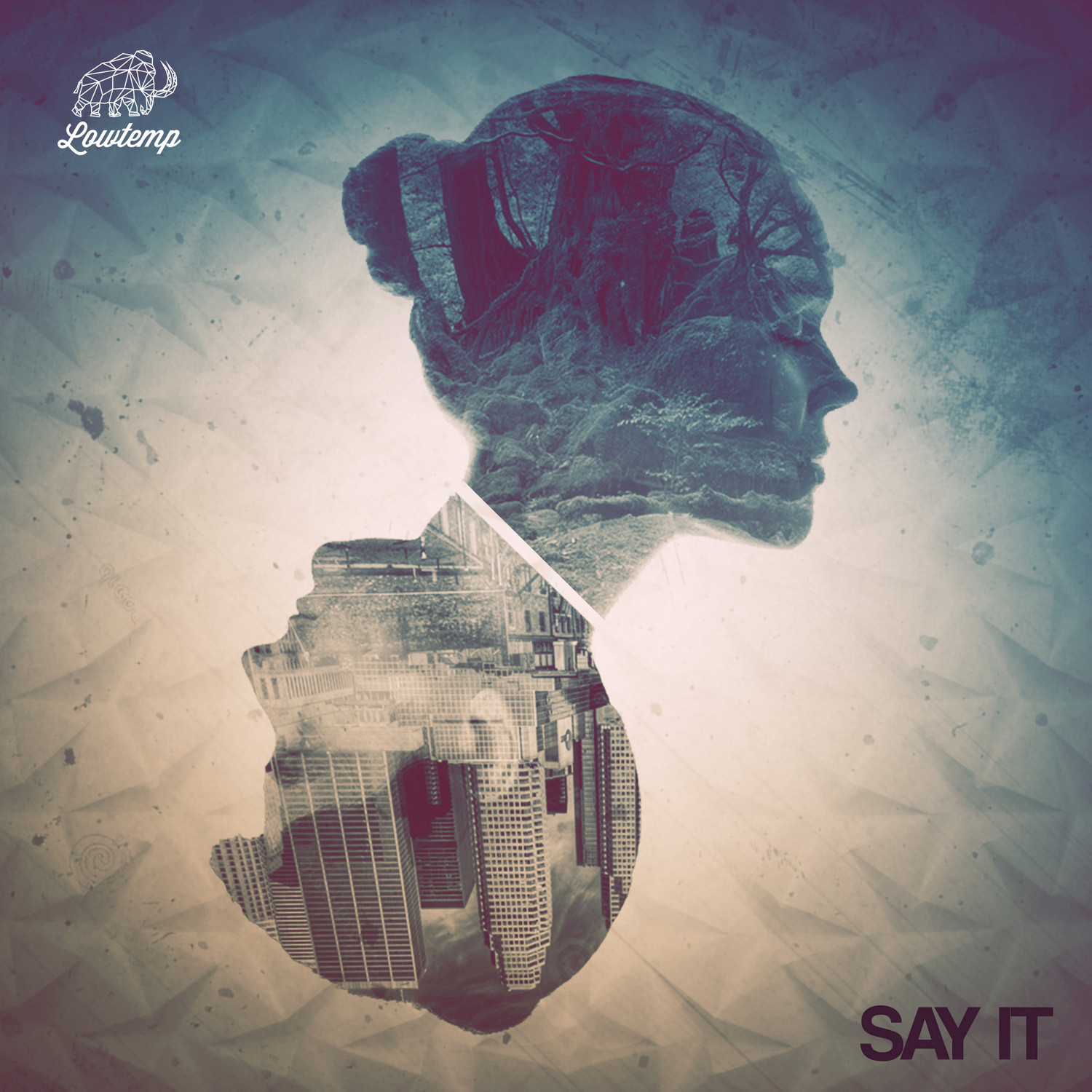 Say It