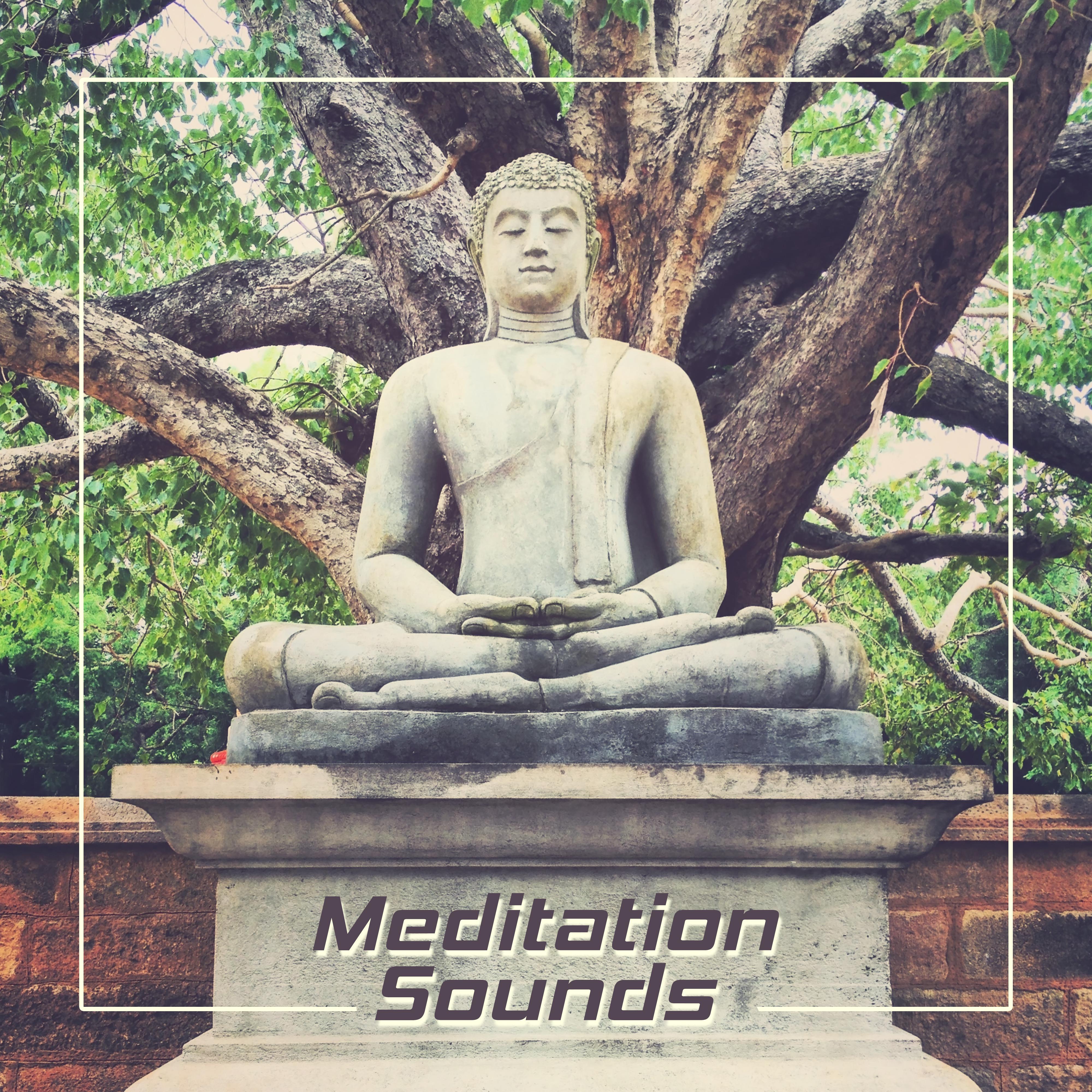 Meditation Sounds  Pure Sounds of Nature for Deep Meditation, Yoga Training, Chakra Healing, Zen, Karma, Yoga Music