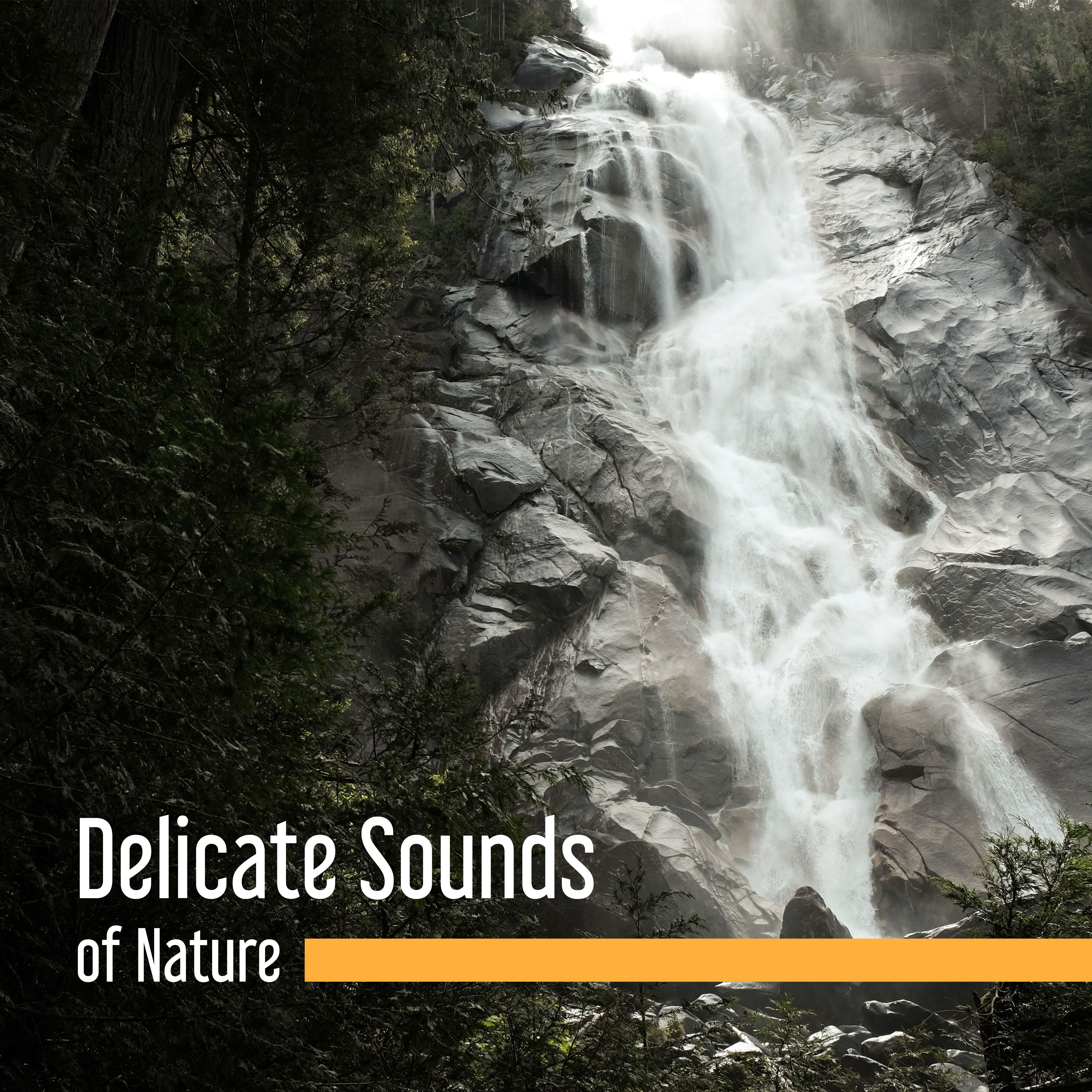 Delicate Sounds of Nature  Pure Relaxation, Soft Music to Calm Down, Just Relax, Deep Sleep, Piano Music, Meditation
