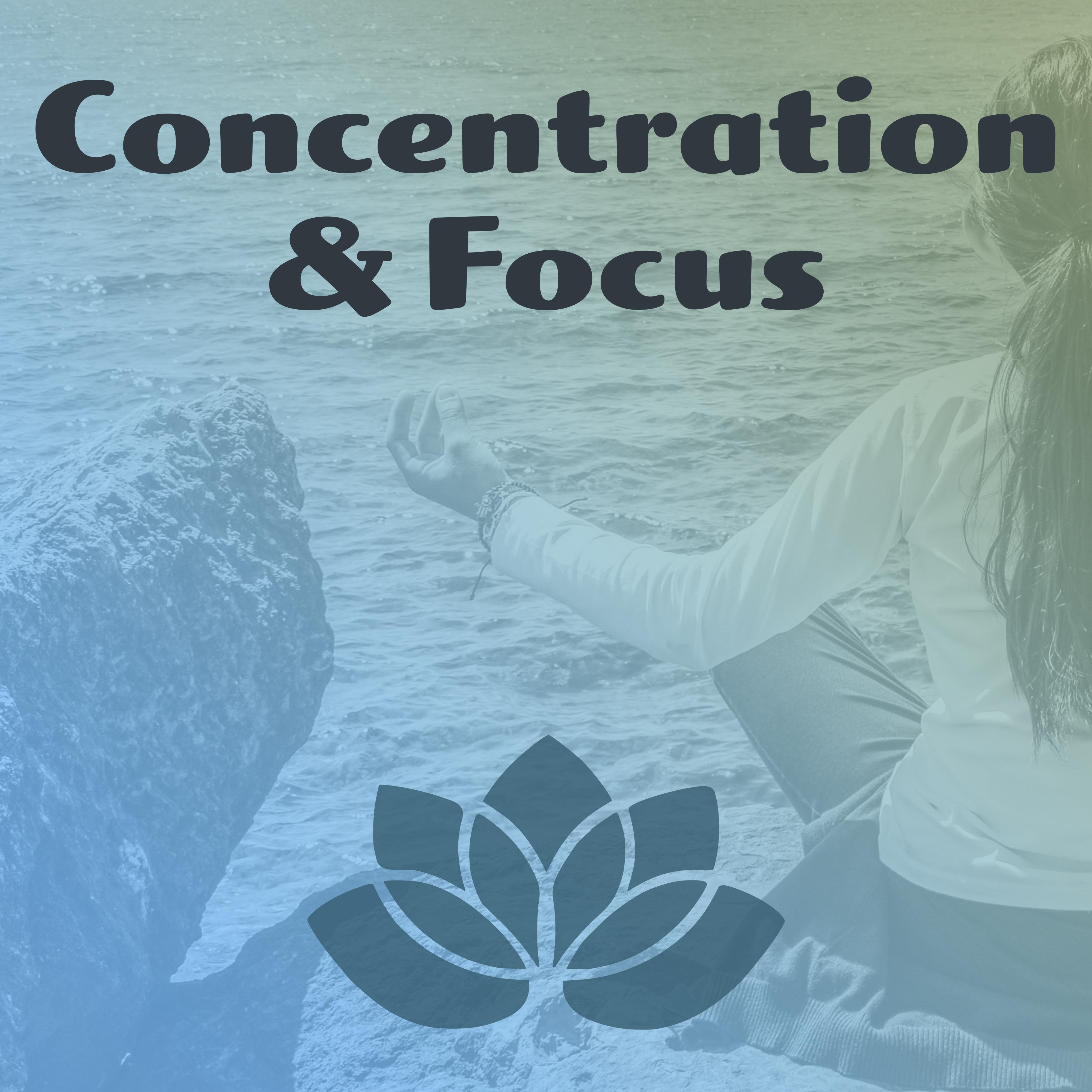 Concentration  Focus  Meditation Music, Yoga Sounds, Pure Mind, Reiki, Calmness, Nature Sounds for Relaxation