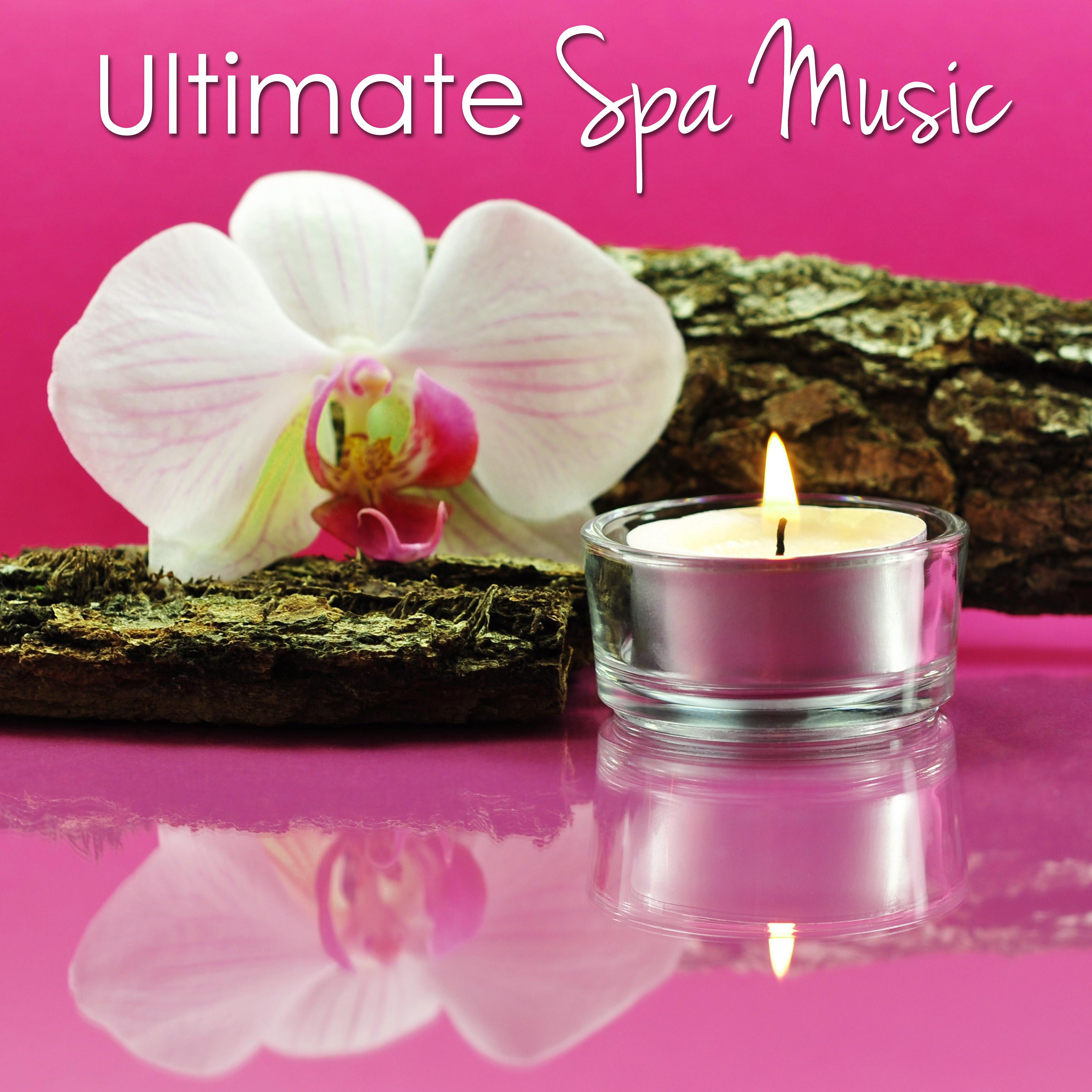 Ultimate Spa Music Collective - Relaxing Instrumental Music for Massage Therapy