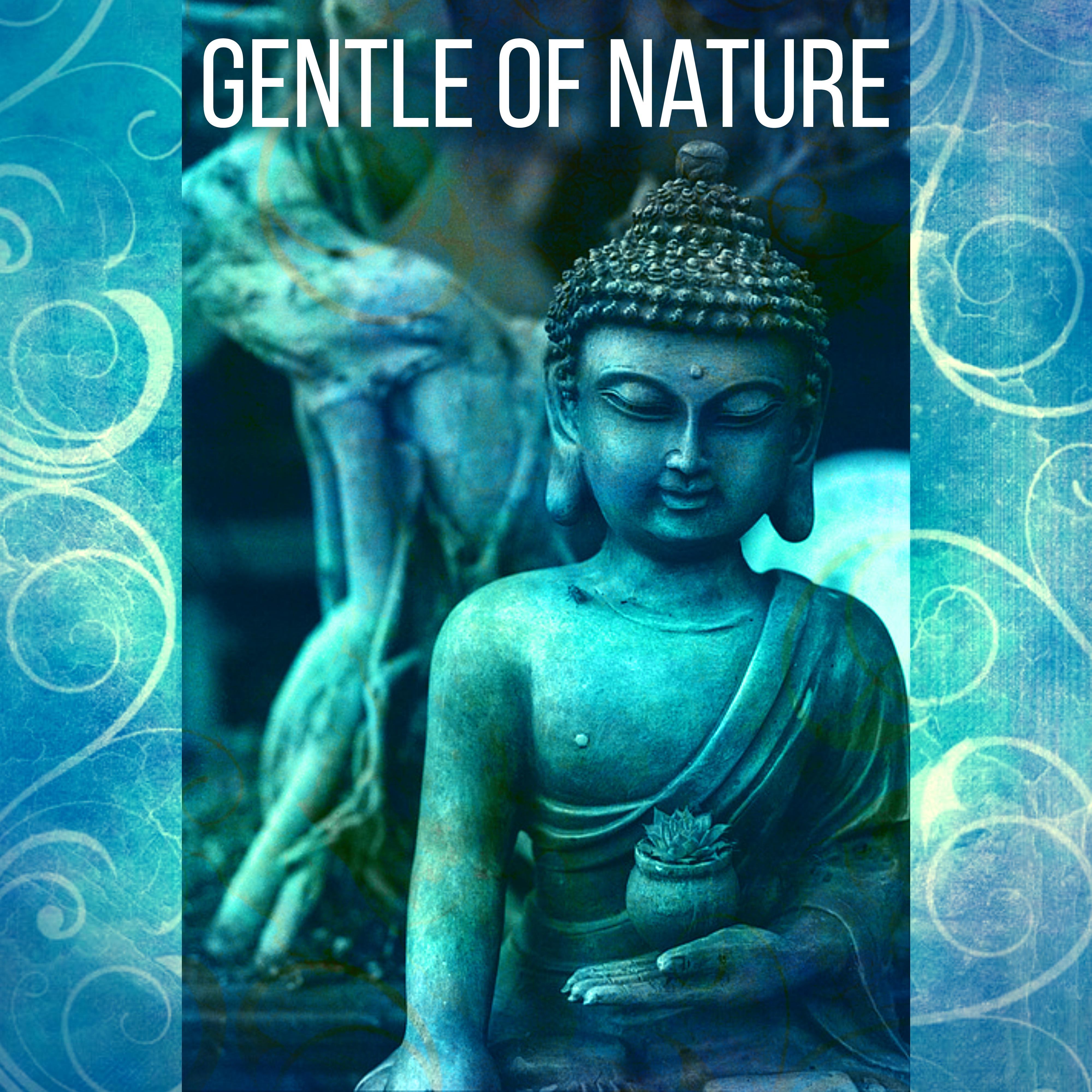 Gentle of Nature  Twitter, Pure Energy, Fresh, Clean Air, Joy, Frame of Mind, Heaven