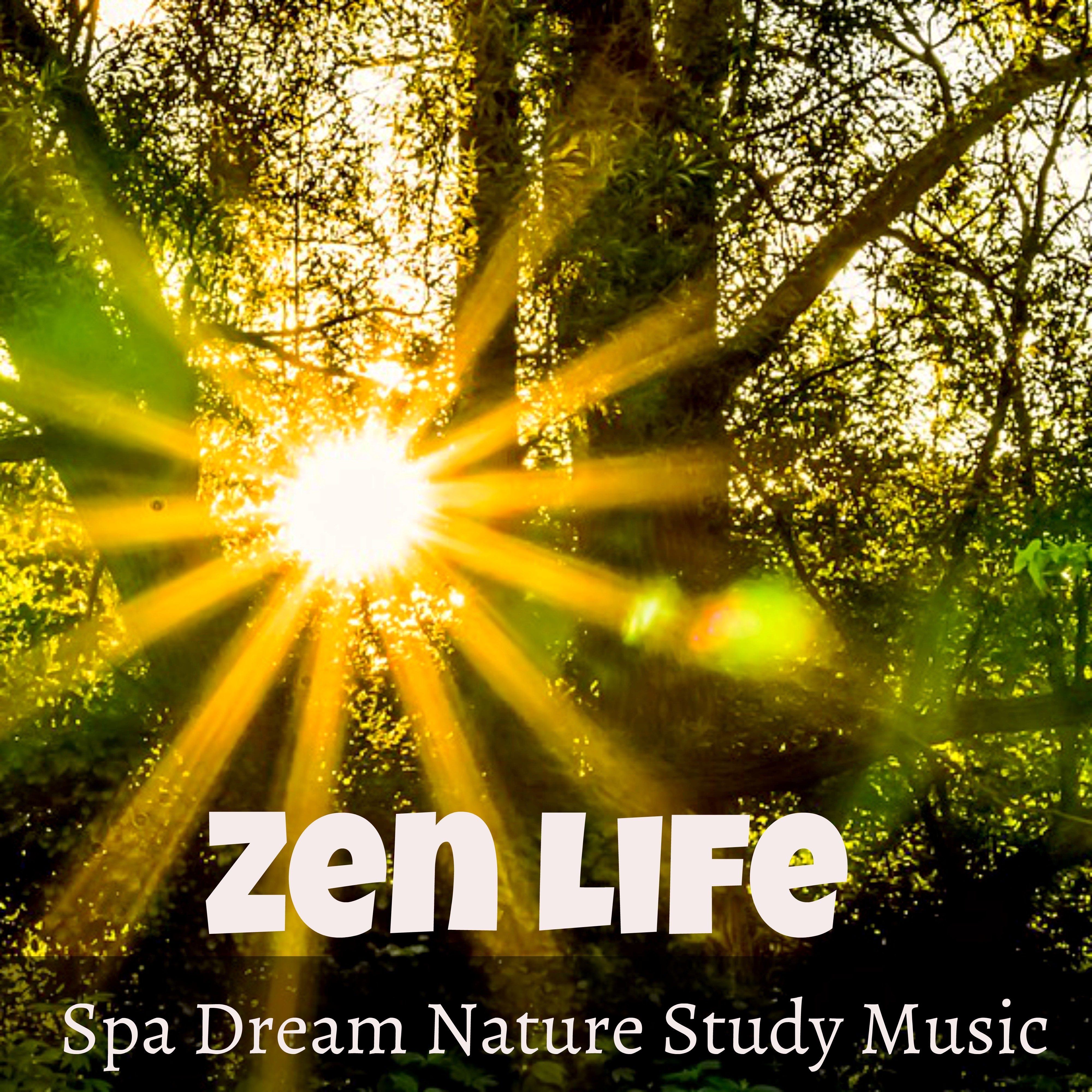 Zen Life - Spa Dream Nature Study Music for Energy Balancing Vibrational Healing Daily Meditation with New Age Instrumental Soft Sounds