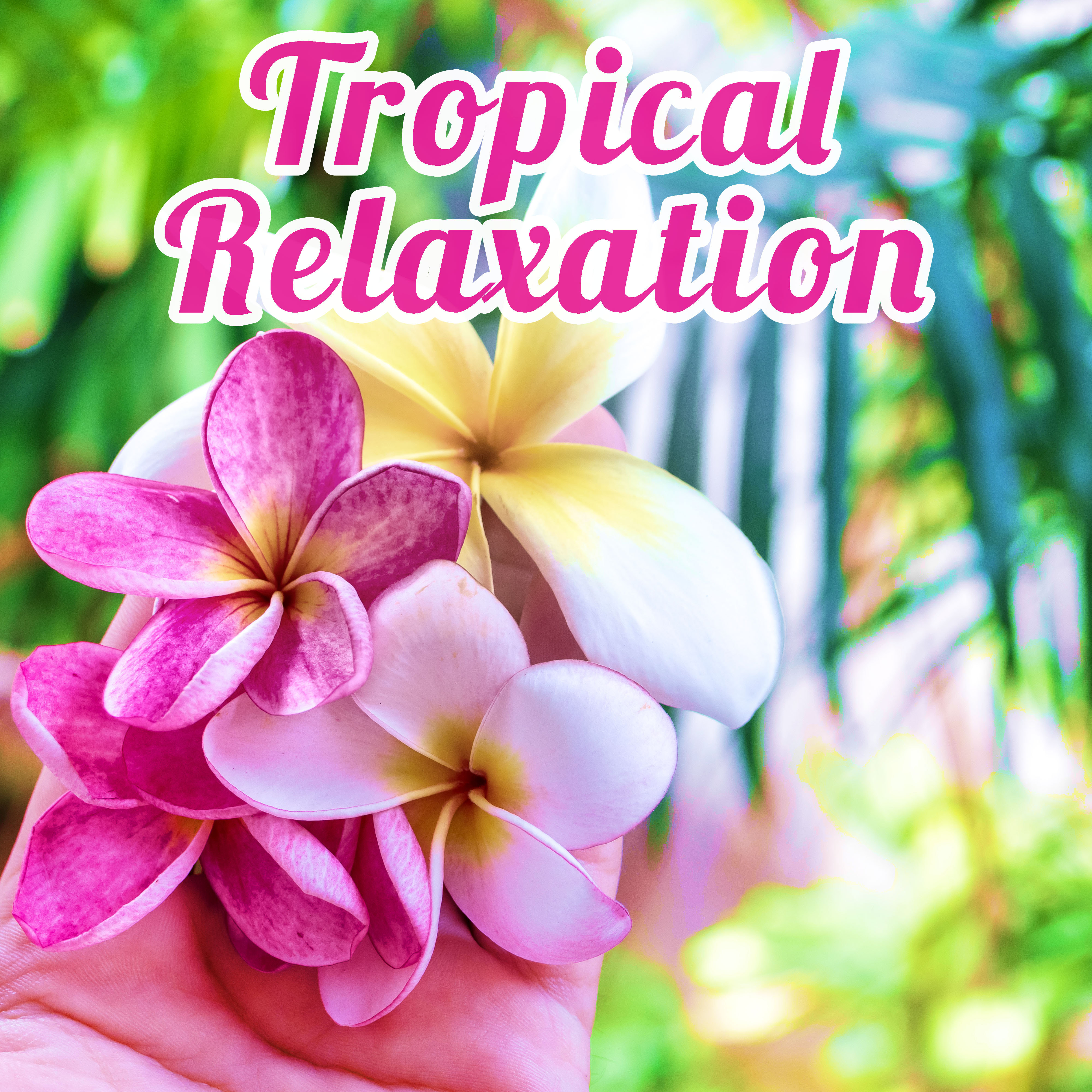 Tropical Relaxation  Exotic Island, Ibiza Chill Out, Sunshine, Mellow Chillout, Palma de Lounge, Holiday Vibes