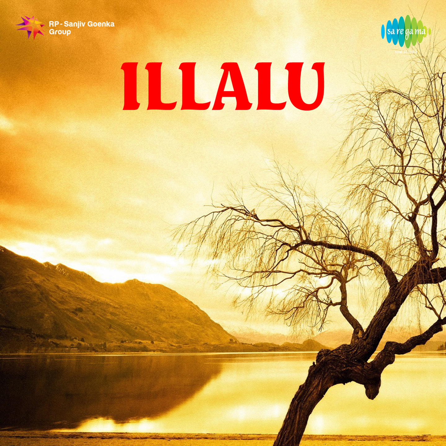 Illalu