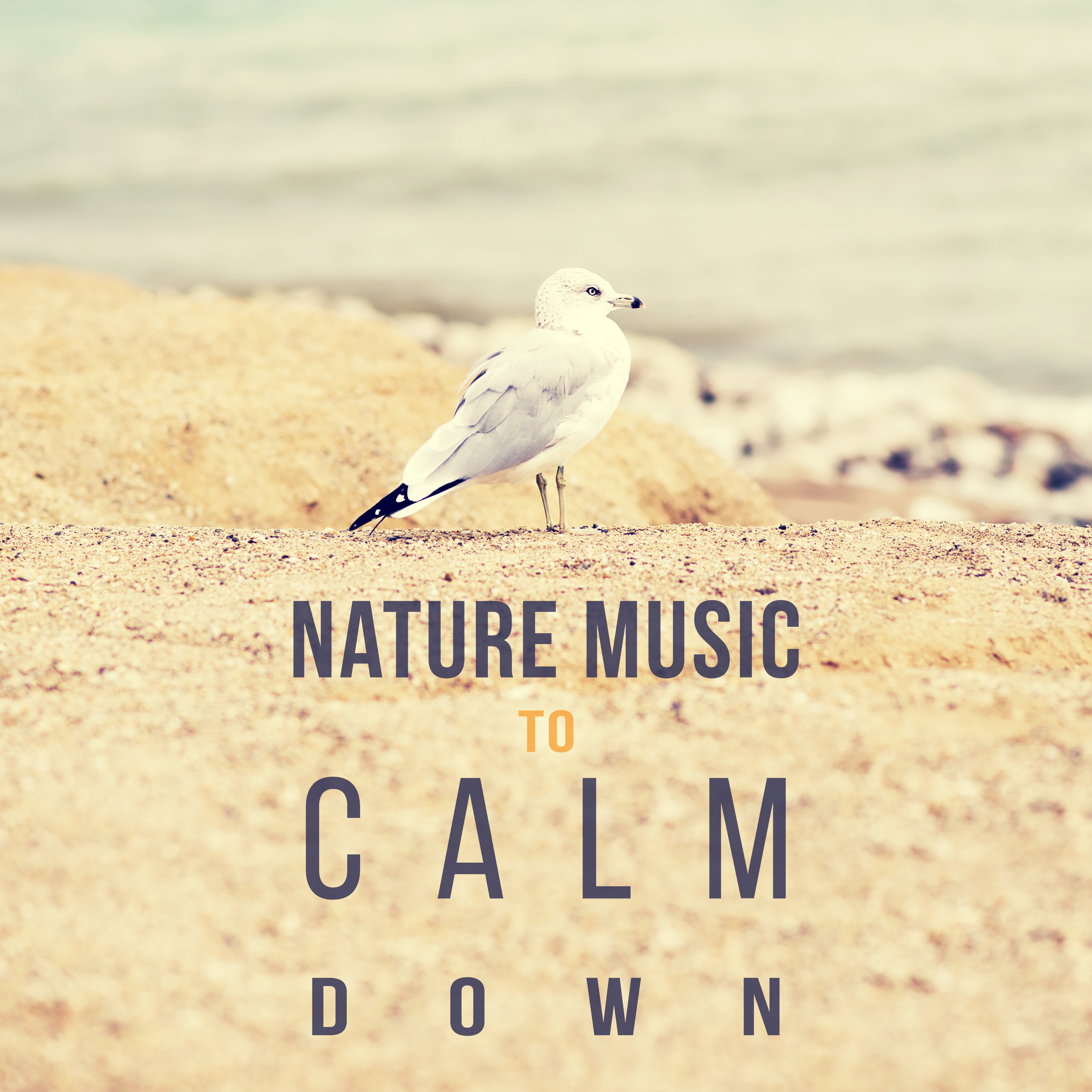 Nature Music to Calm Down  Relaxing Sounds of Nature, Peaceful Music, Rest for a Moment