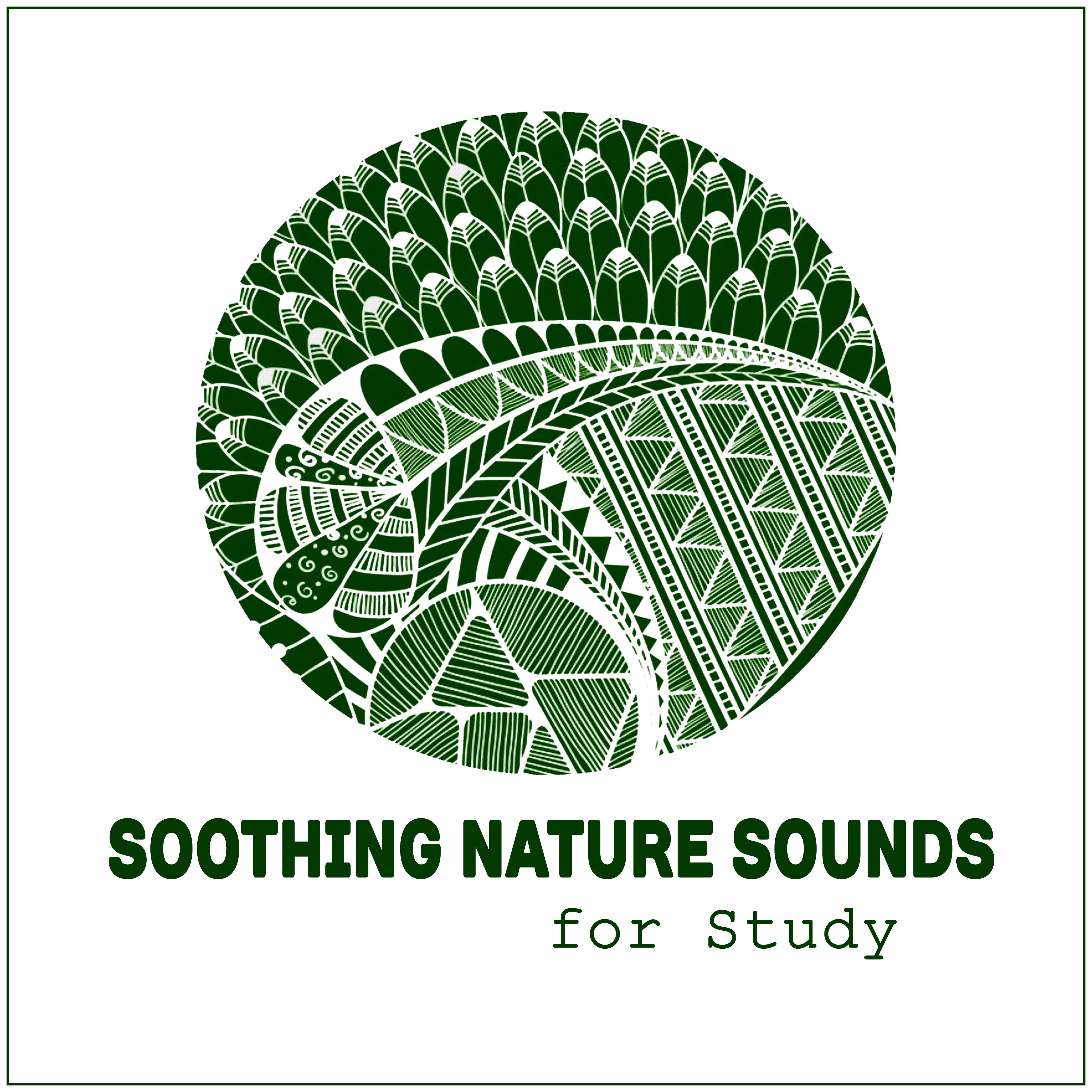 Soothing Nature Sounds for Study  Brain Power, Easier Learning, Soft Music, Stress Relief, Better Memory, Deep Concentration