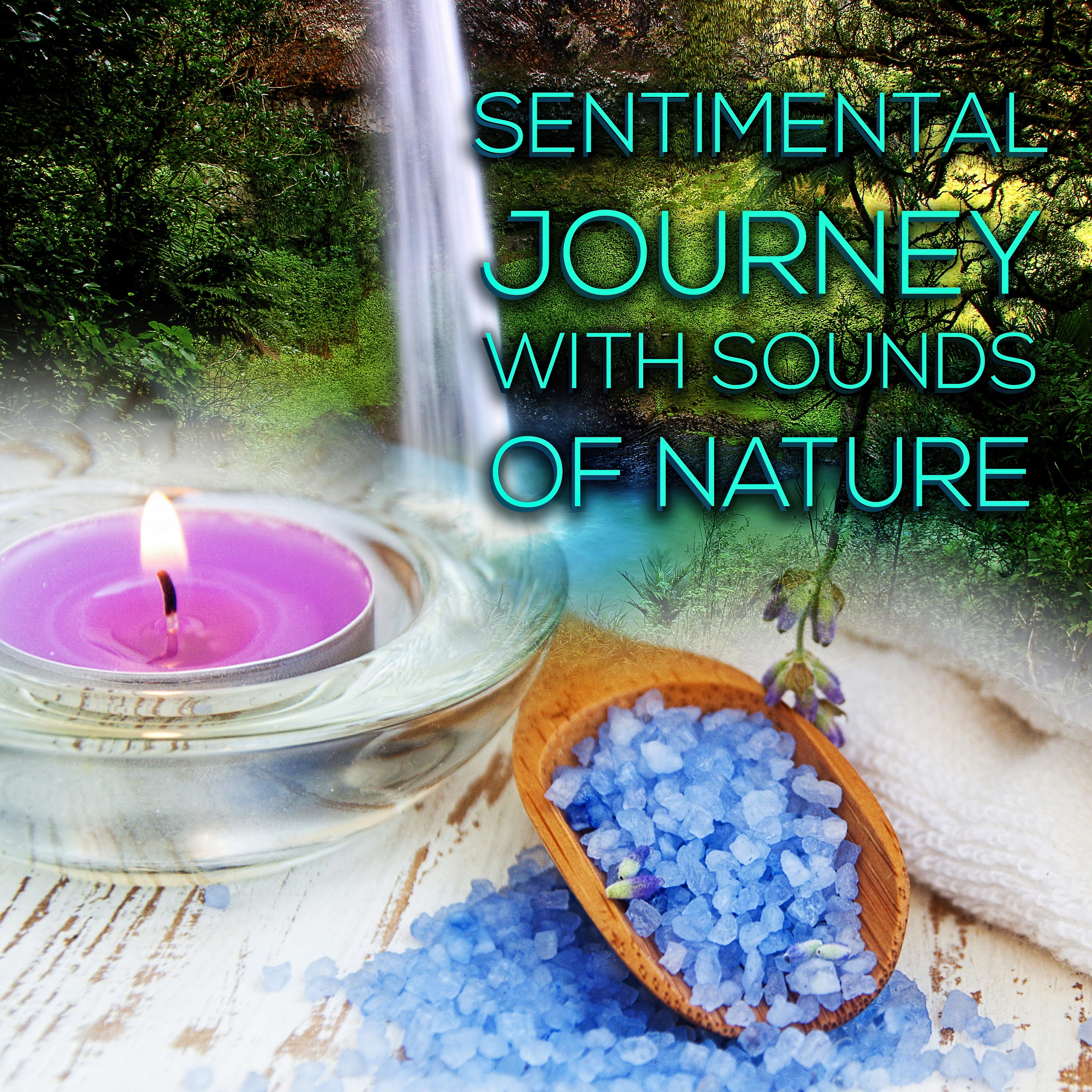 Sentimental Journey with Sounds of Nature - Sound Therapy Music for Relaxation, Meditation with Sounds of Nature, Music for Healing Through Sound and Touch, Music for Yoga & Massage