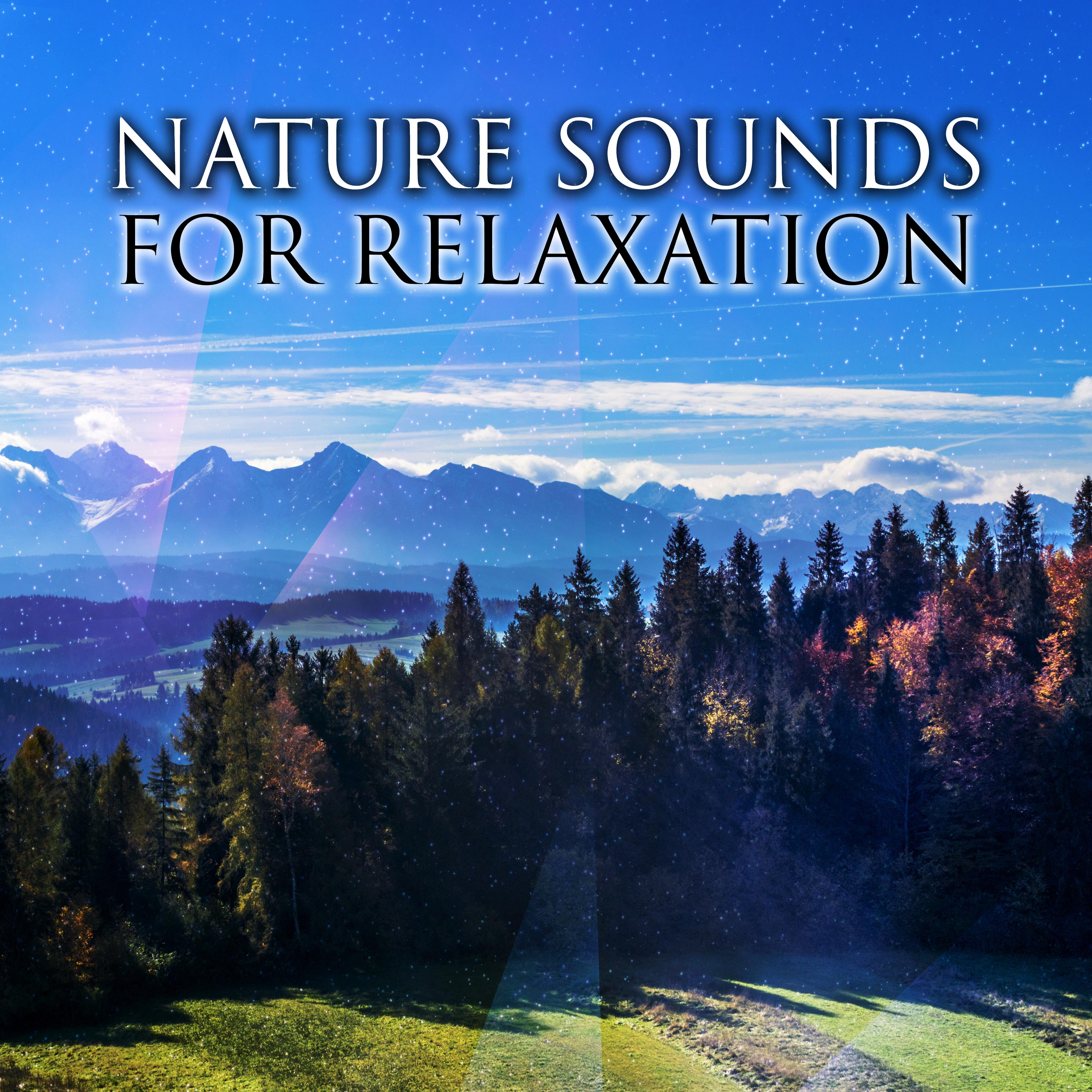 Nature Sounds for Relaxation  Peaceful Music to Rest, Calm Down with New Age Music, Nature Waves, Stress Relief