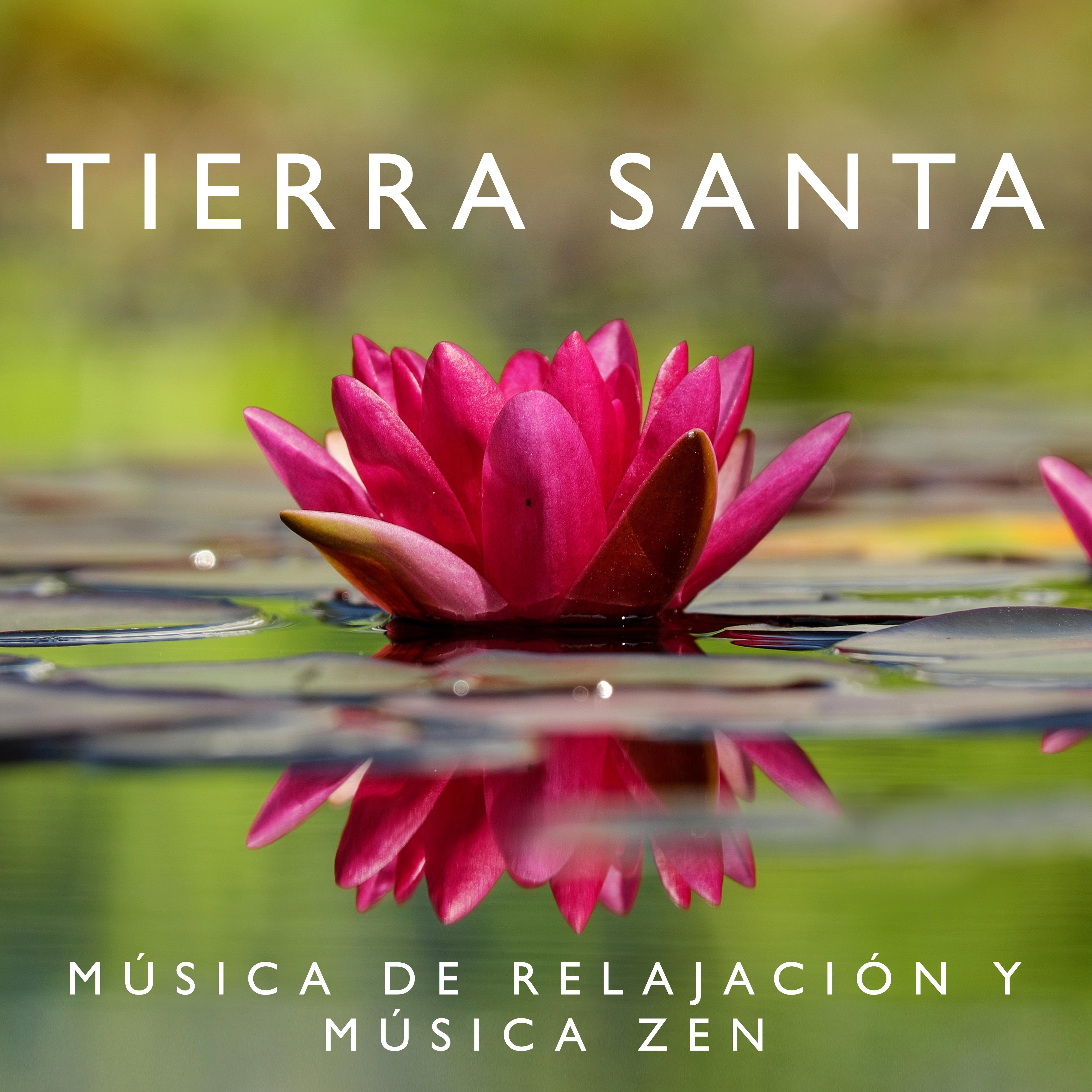 Tierra Santa  Musica de Relajacio n y Mu sica Zen para Calmar la Mente