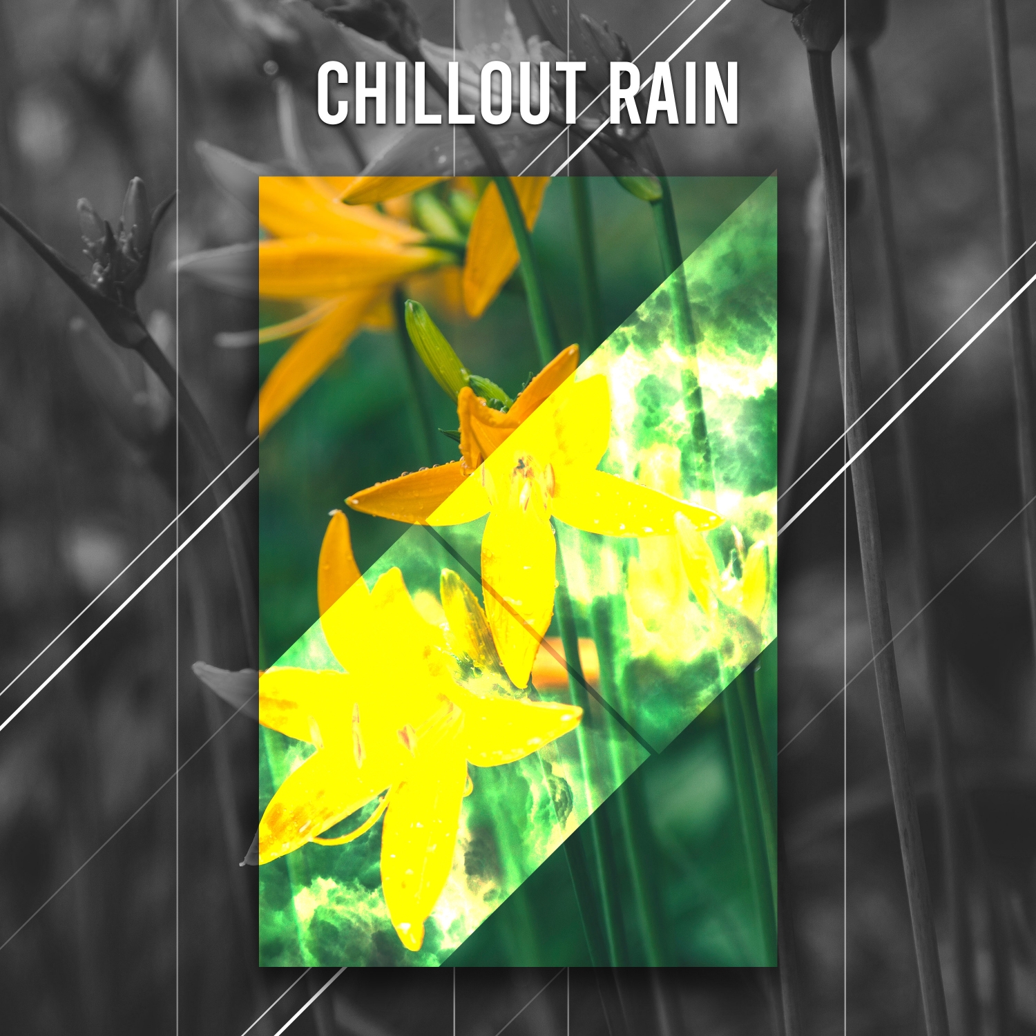 12 Relaxing Sounds, Chillout, Unwind, Relax, Meditate and Sleep with Natural Rain Sounds