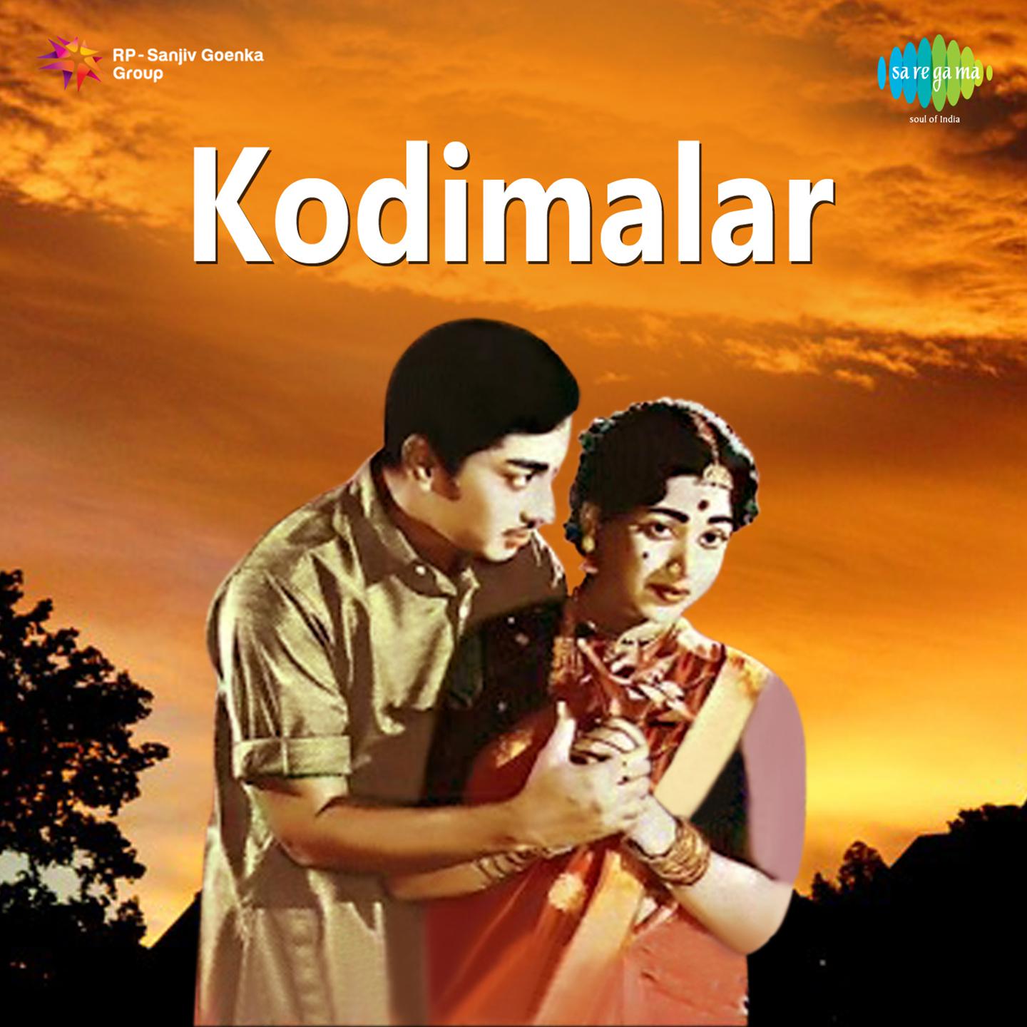 Kodimalar