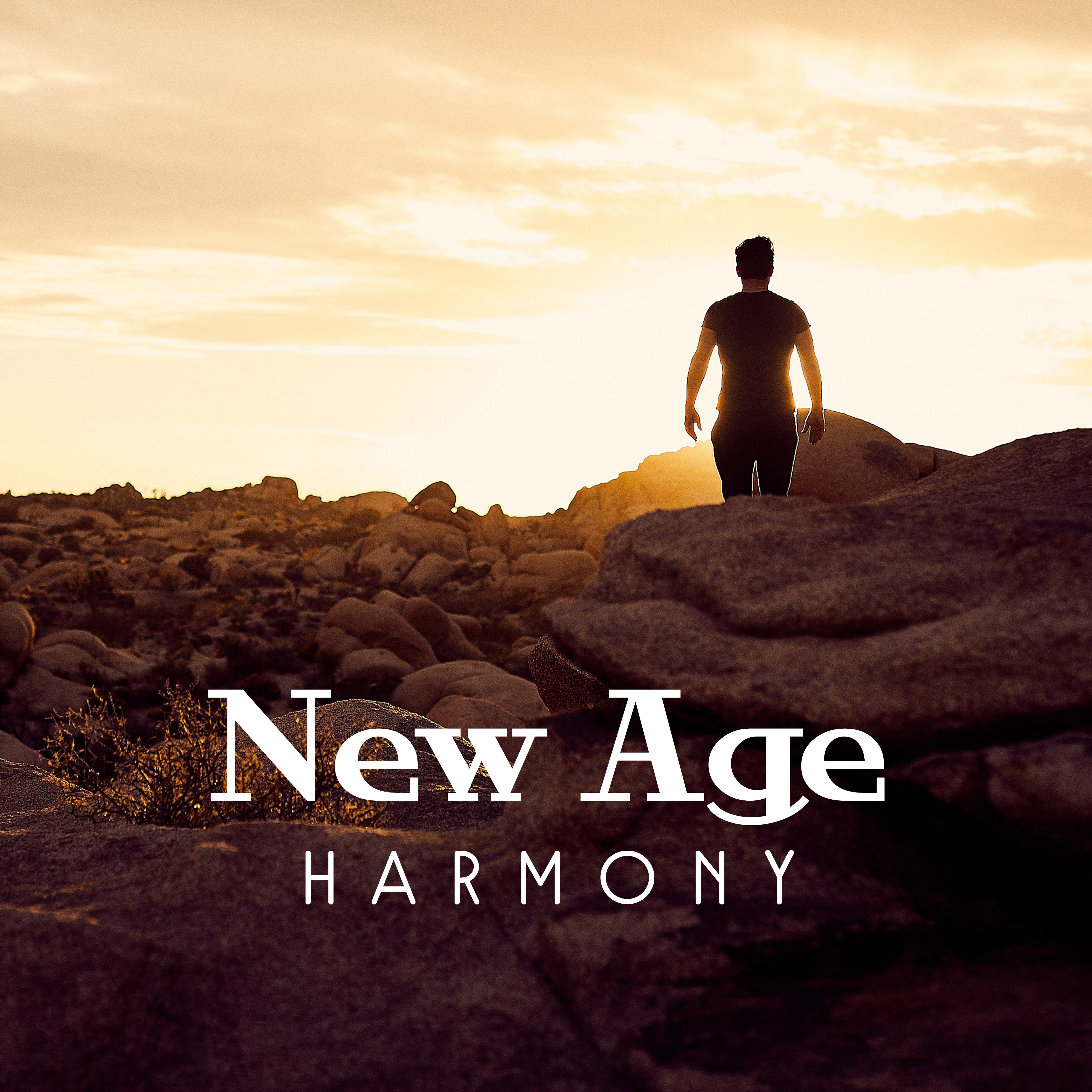New Age Harmony