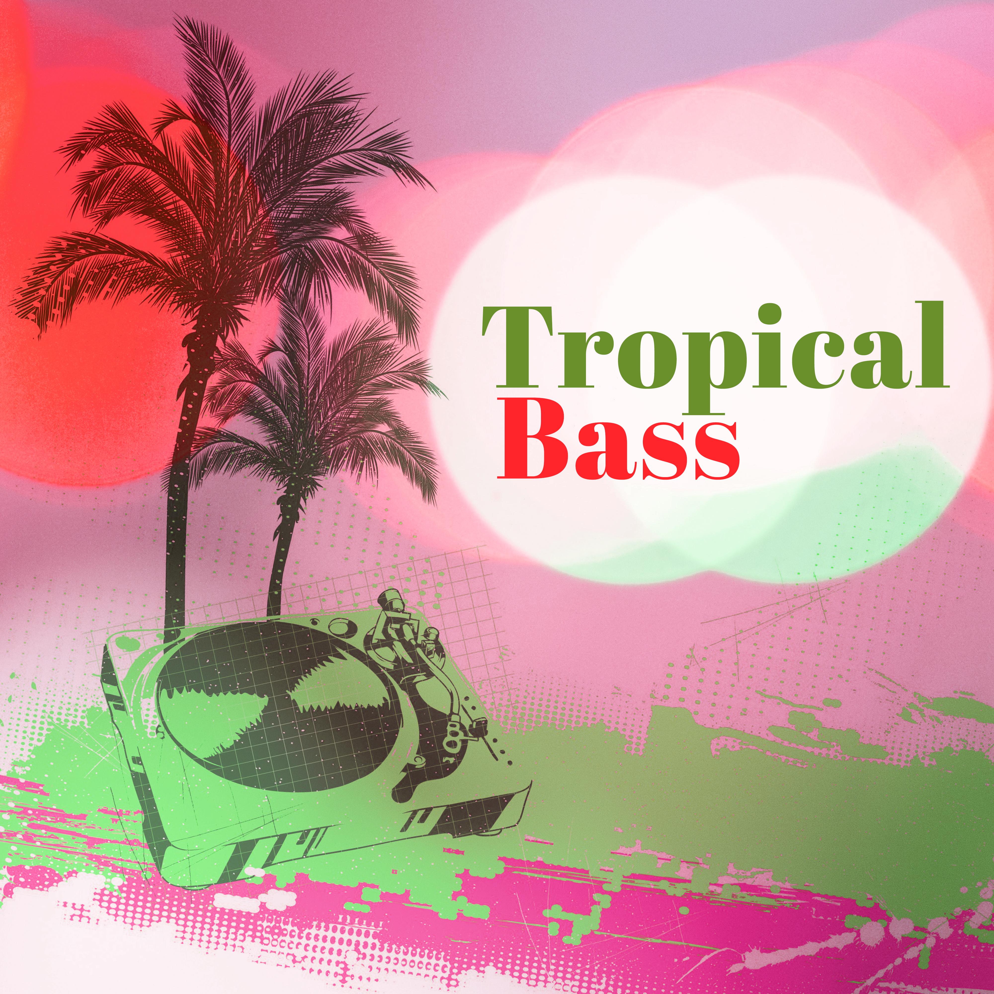 Tropical Bass  Beach Party, Ibiza Chill Out, Holiday Music, Zen Sounds, Summer Chill Out