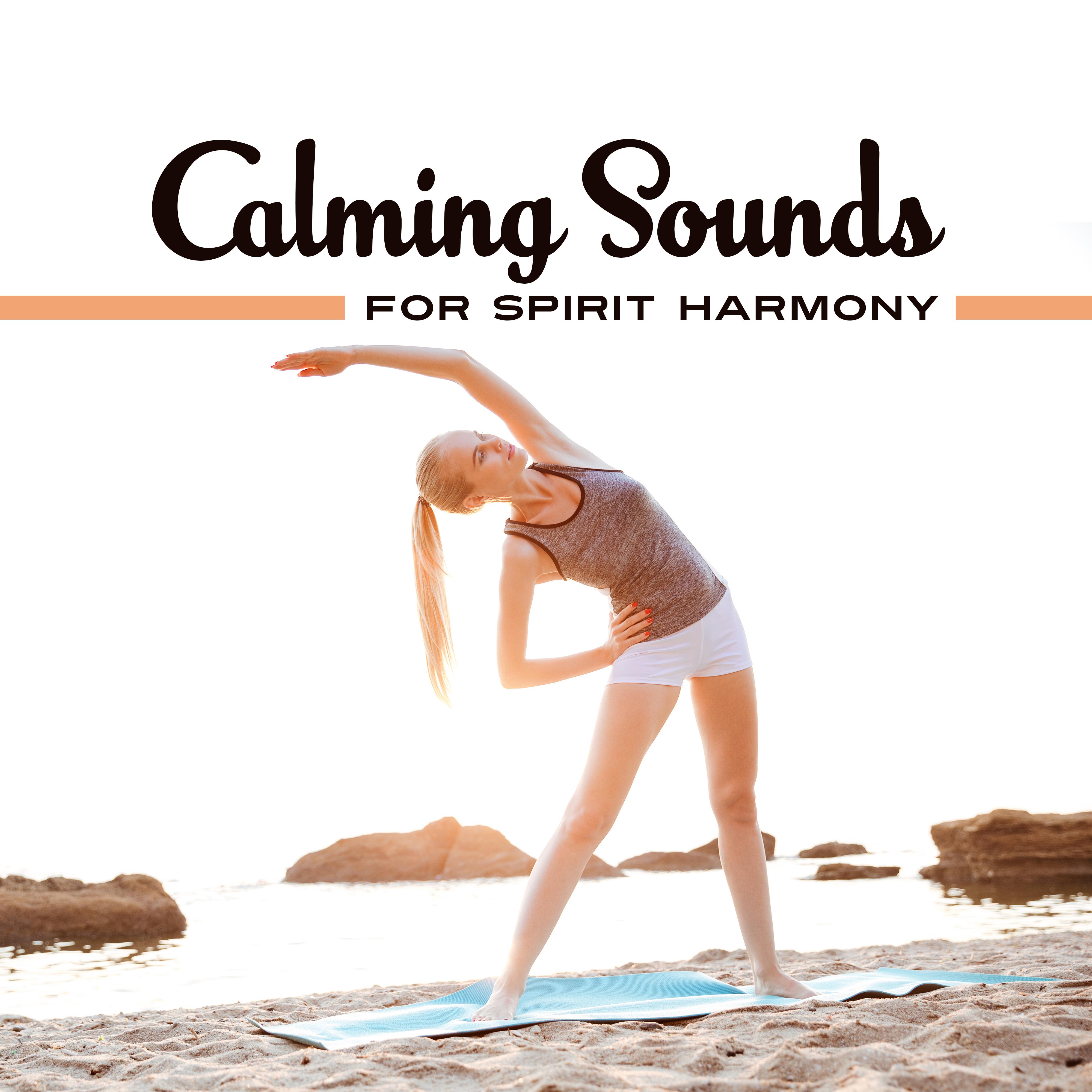 Calming Sounds for Spirit Harmony  Easy Listening, Stress Relief, Meditation Sounds, Peaceful Spirit Journey