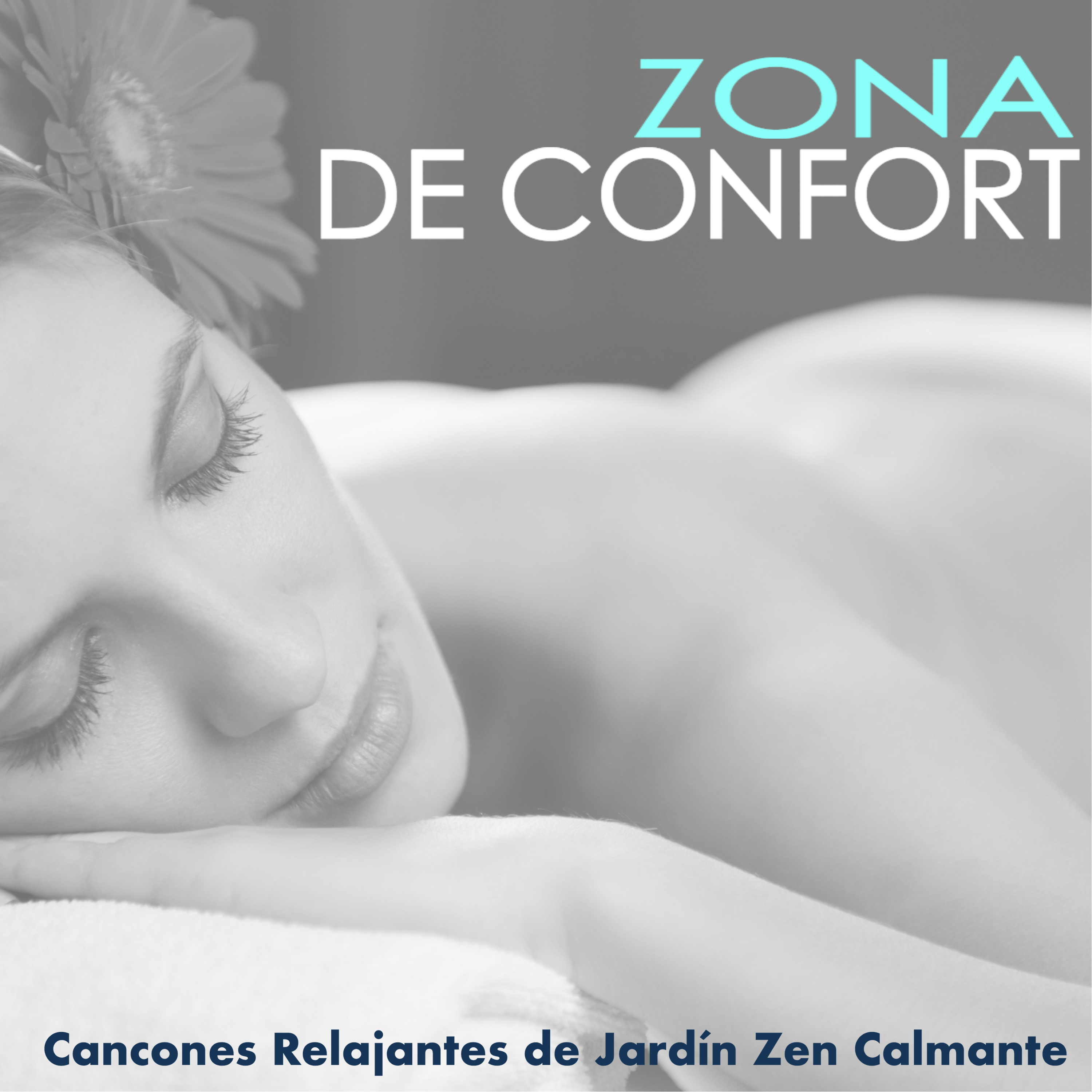 Zona de Confort